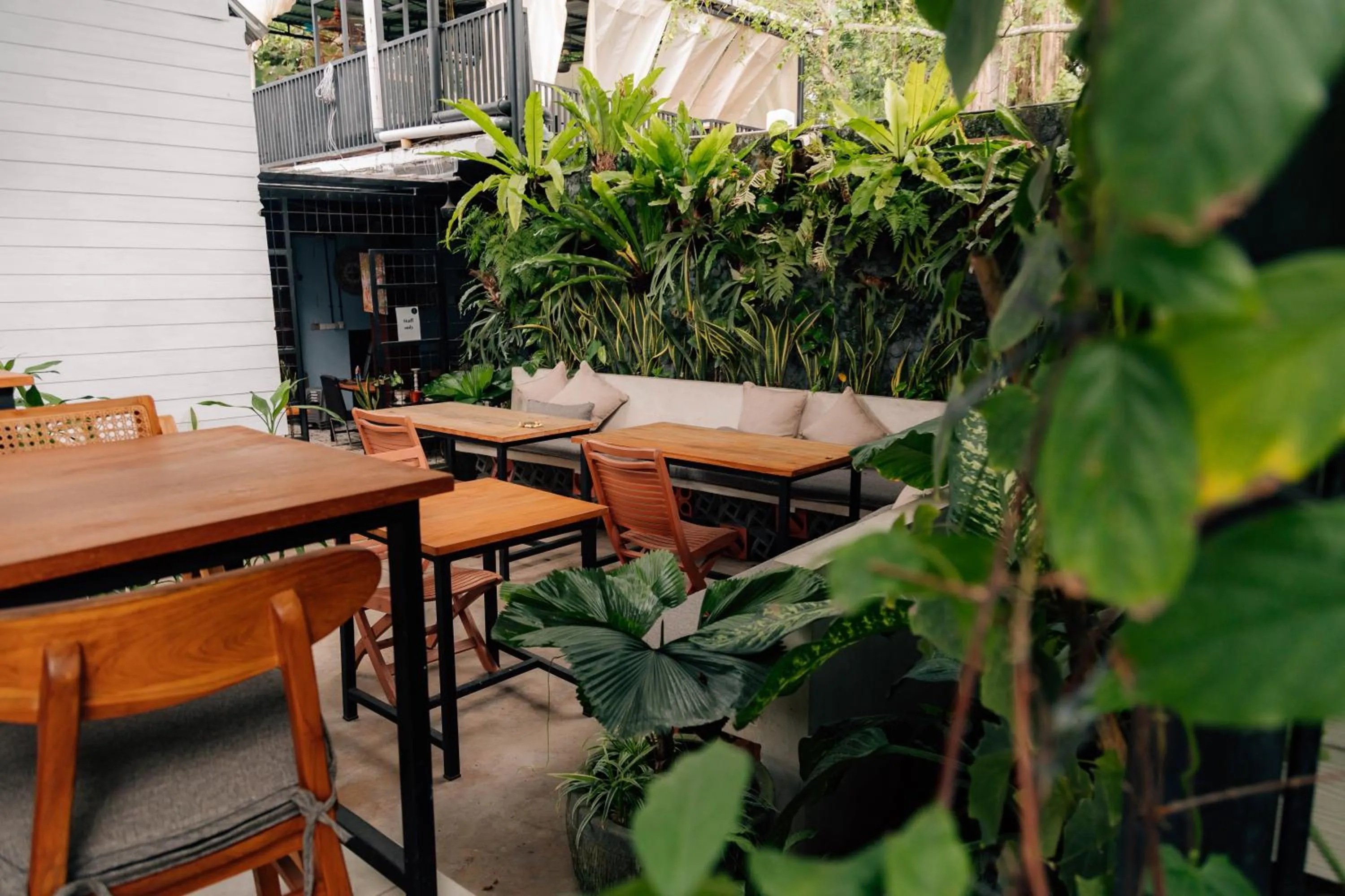 The Jungle Hostel Canggu