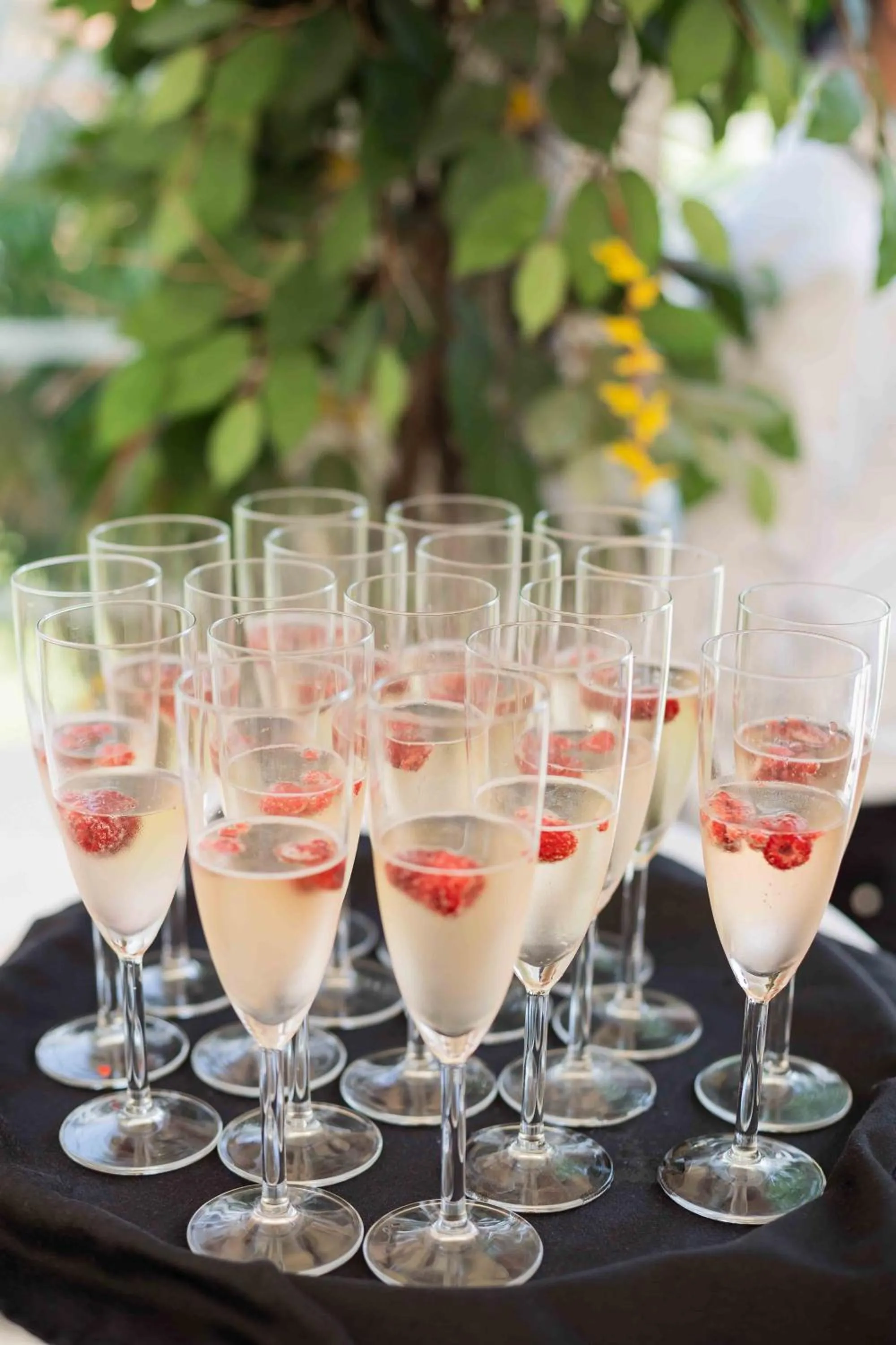 Garden in V Hotel Warsaw