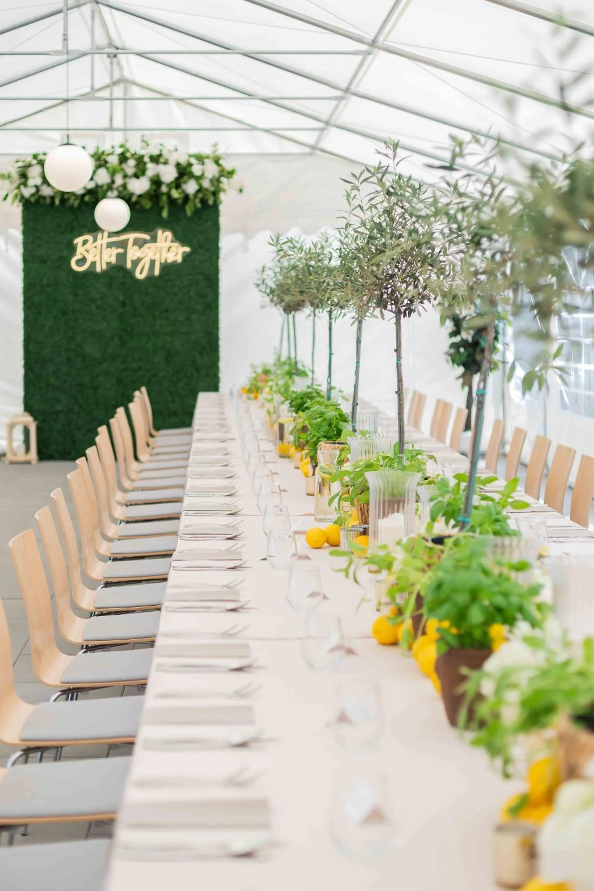 Garden, Banquet Facilities in V Hotel Warsaw