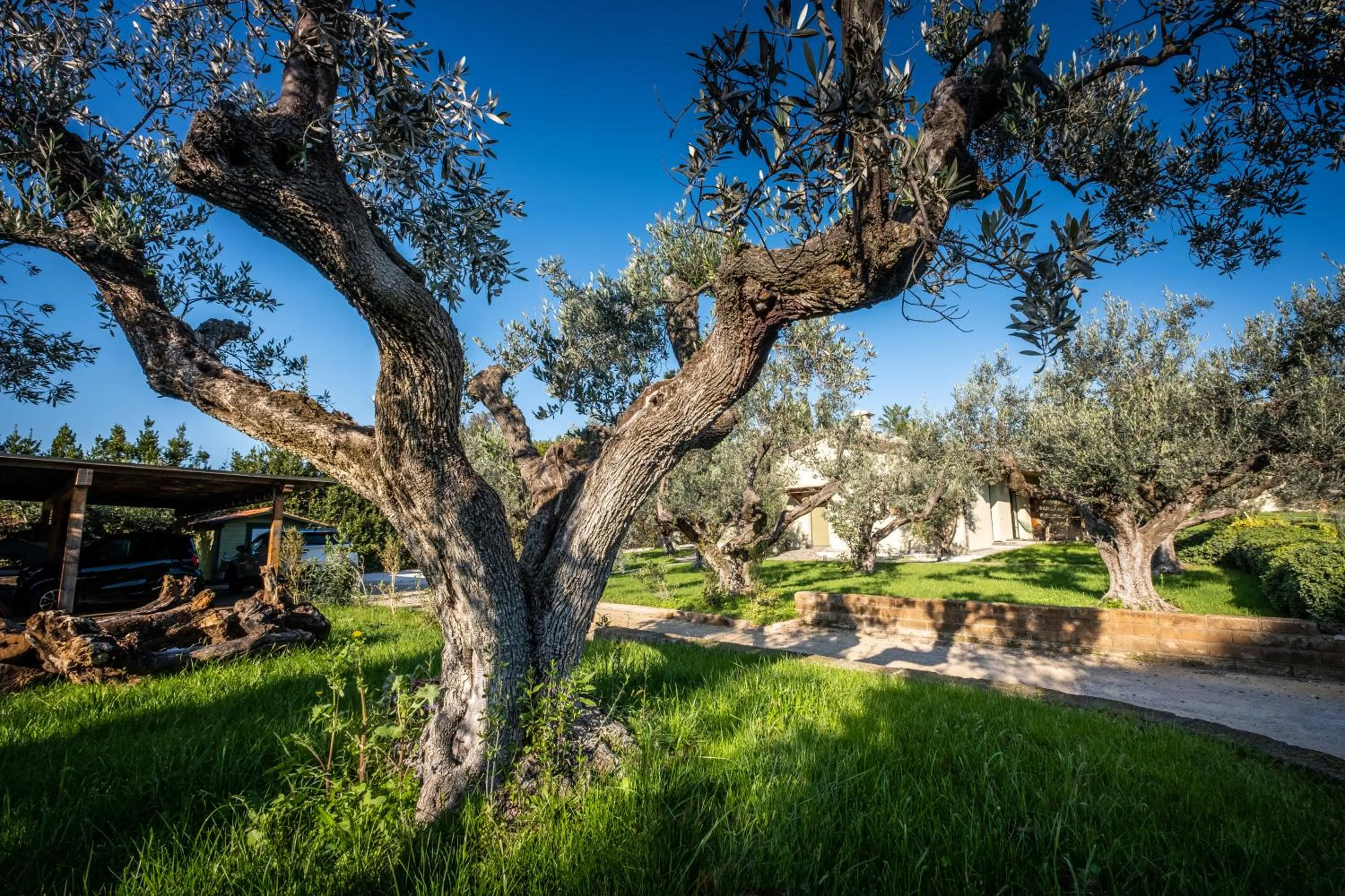 Natural landscape in Relais San Baio