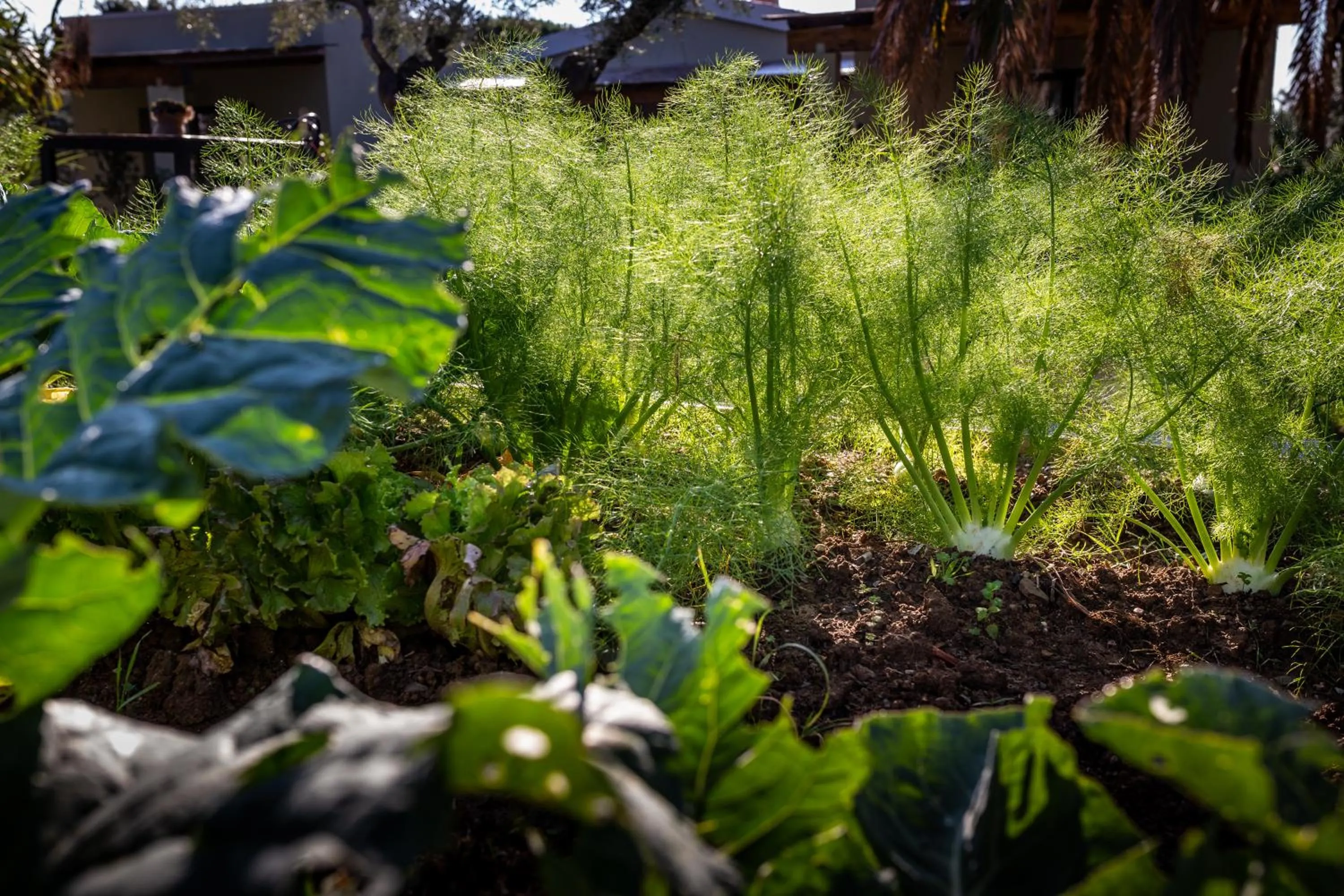 Natural landscape in Relais San Baio