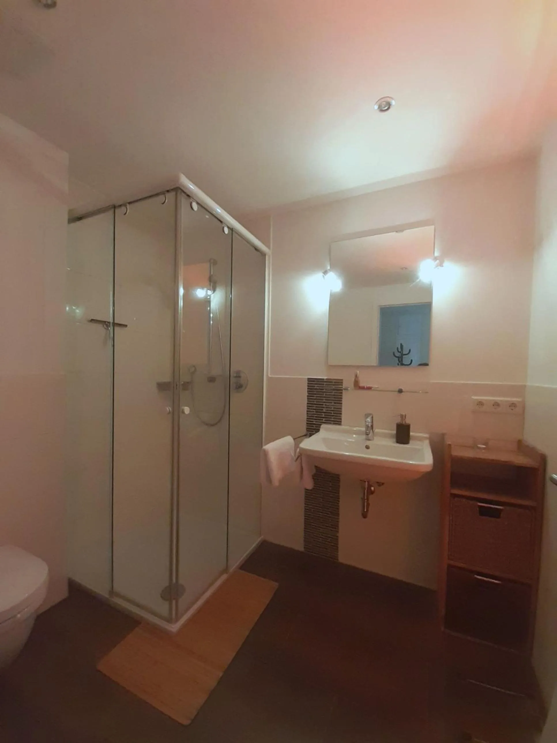 Shower in Hotel Rosmarin