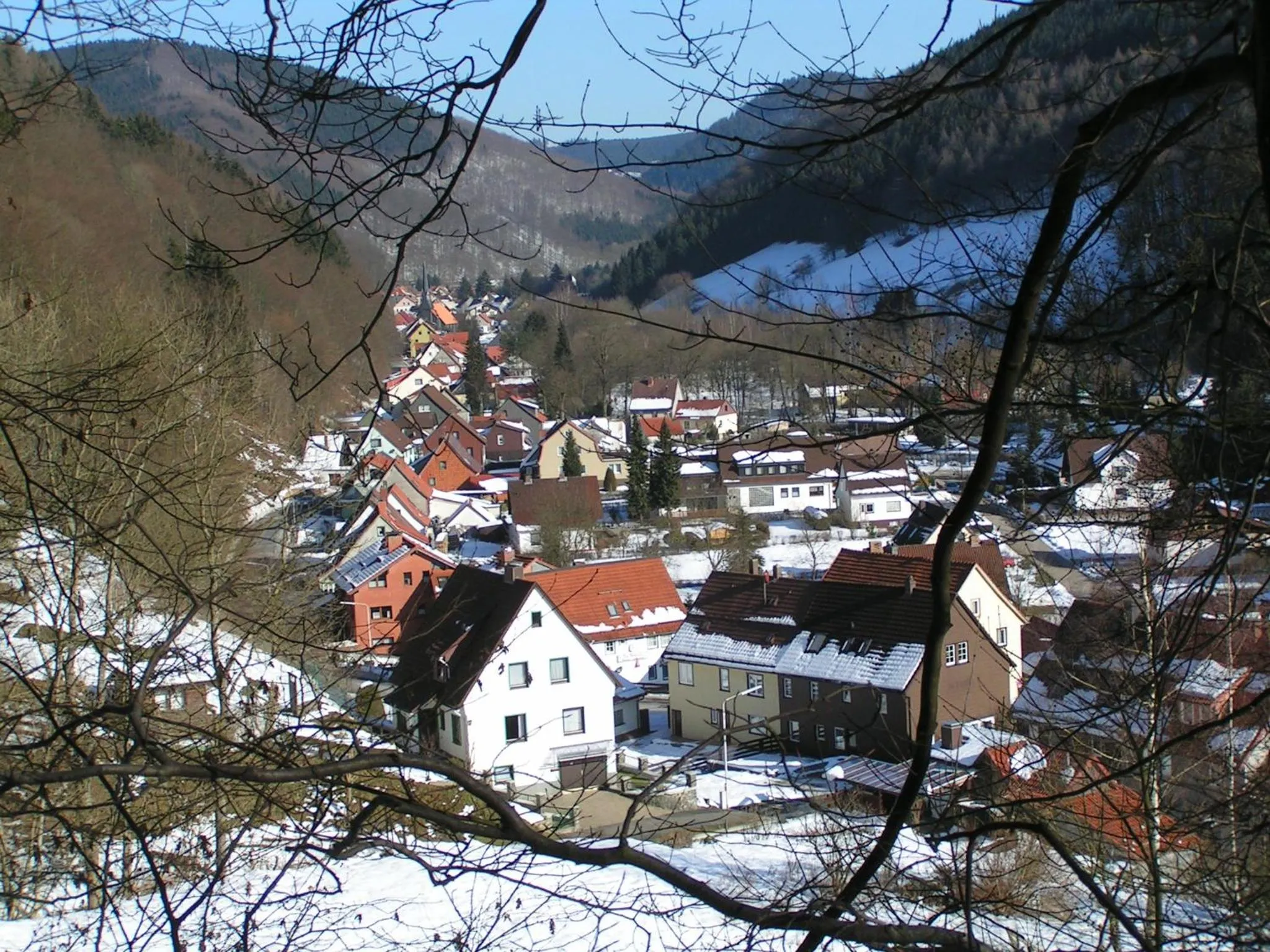 Natural landscape in Harz hotel Iris
