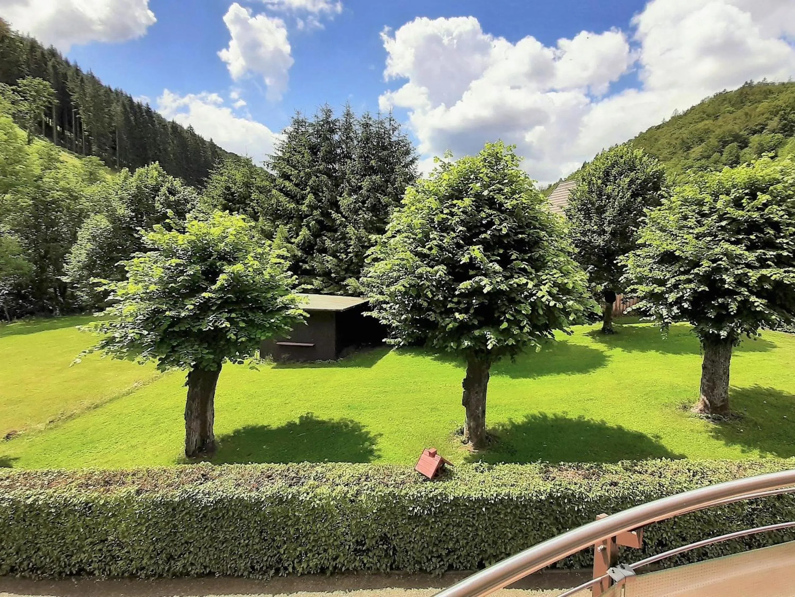 View (from property/room) in Harz hotel Iris