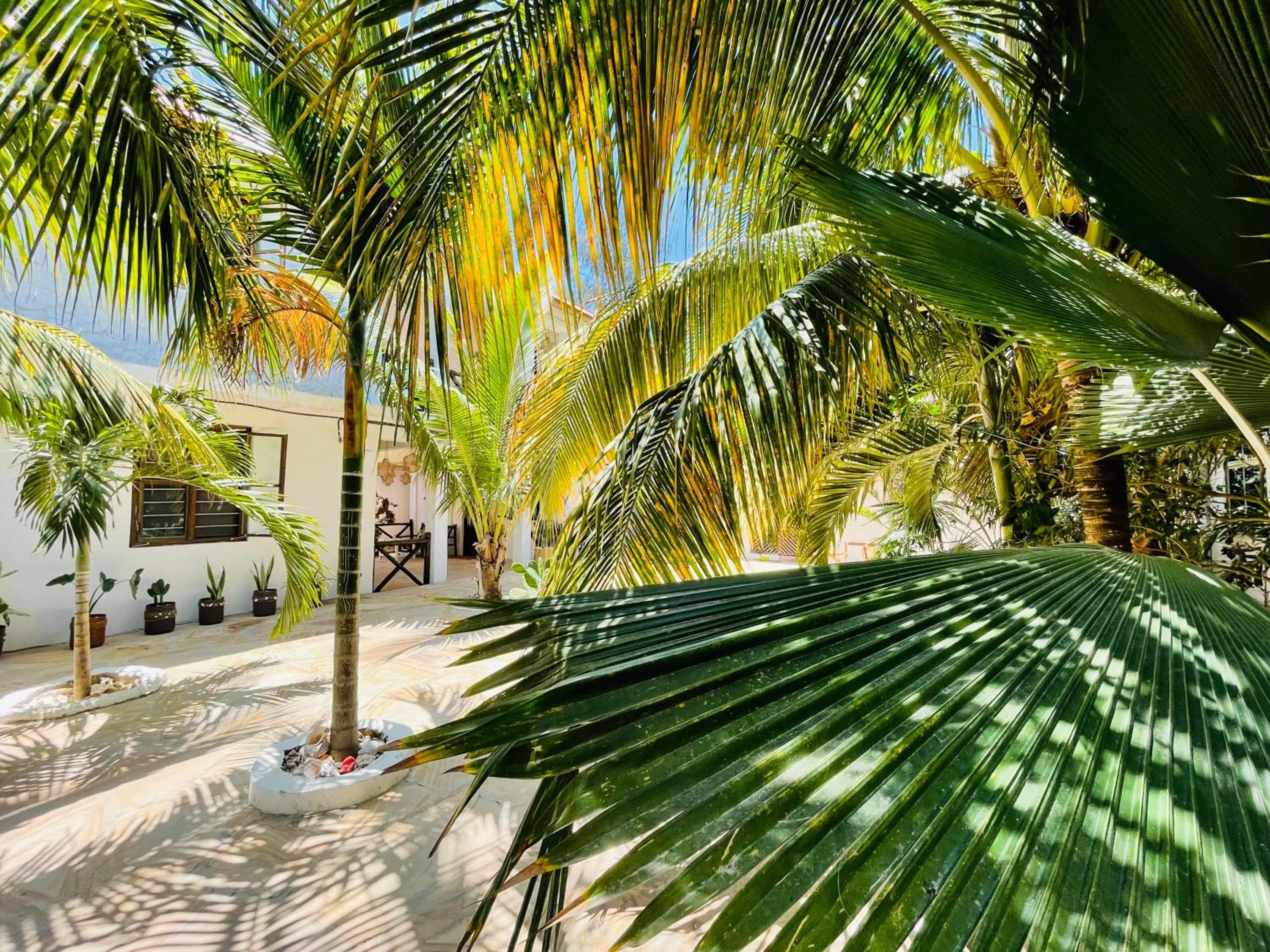 Garden in Max Hotel Nungwi