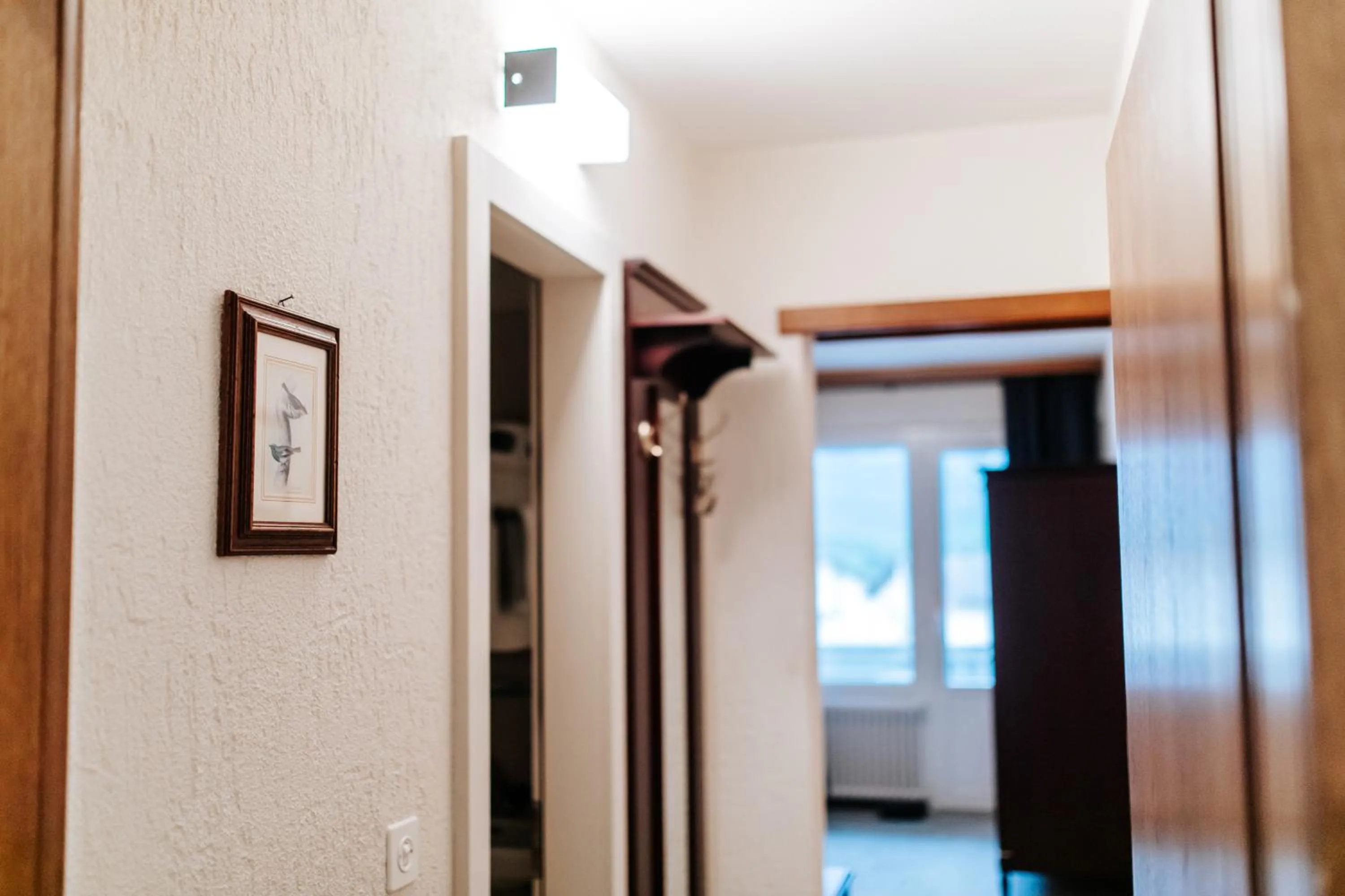 Agence ALV - Art Le Vin