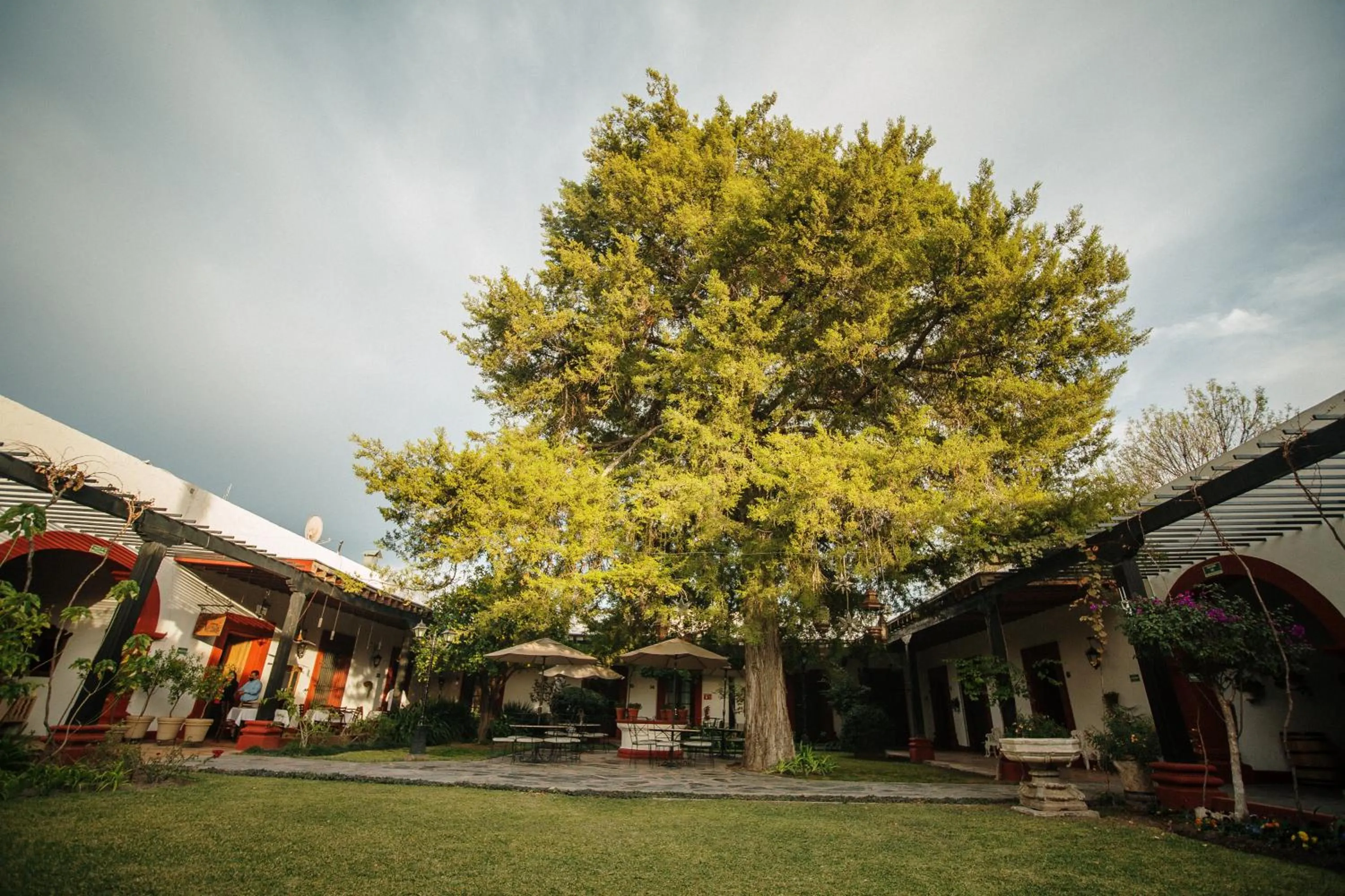 Garden in Hotel El Farol
