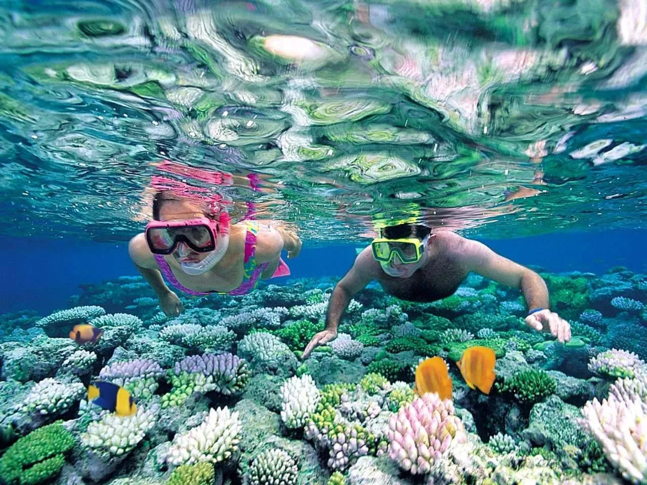 Snorkeling in Nefeli Boutique Hotel