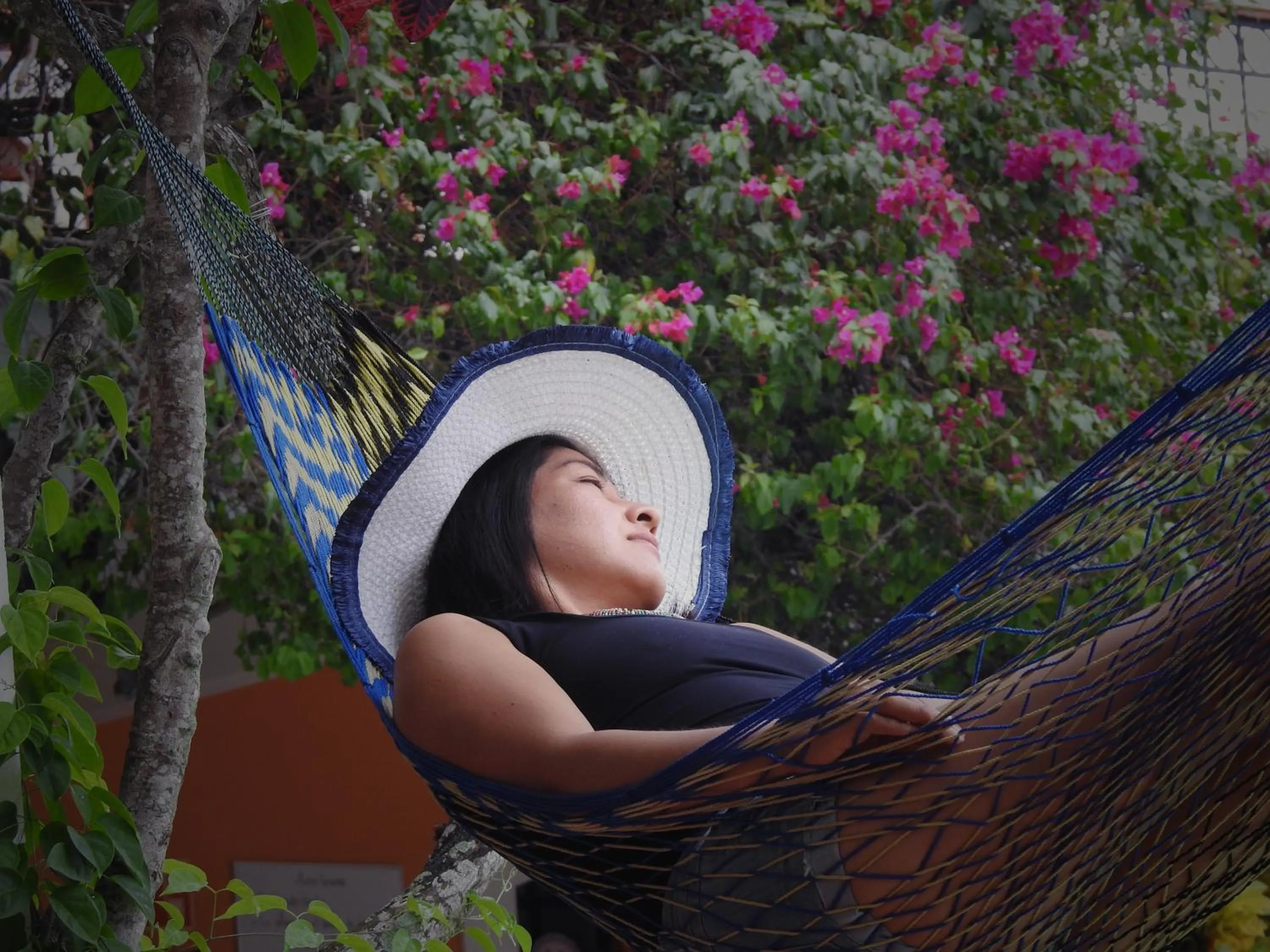 Garden in Don Luis Hostal - Sucursal Galeana - Tecolutla