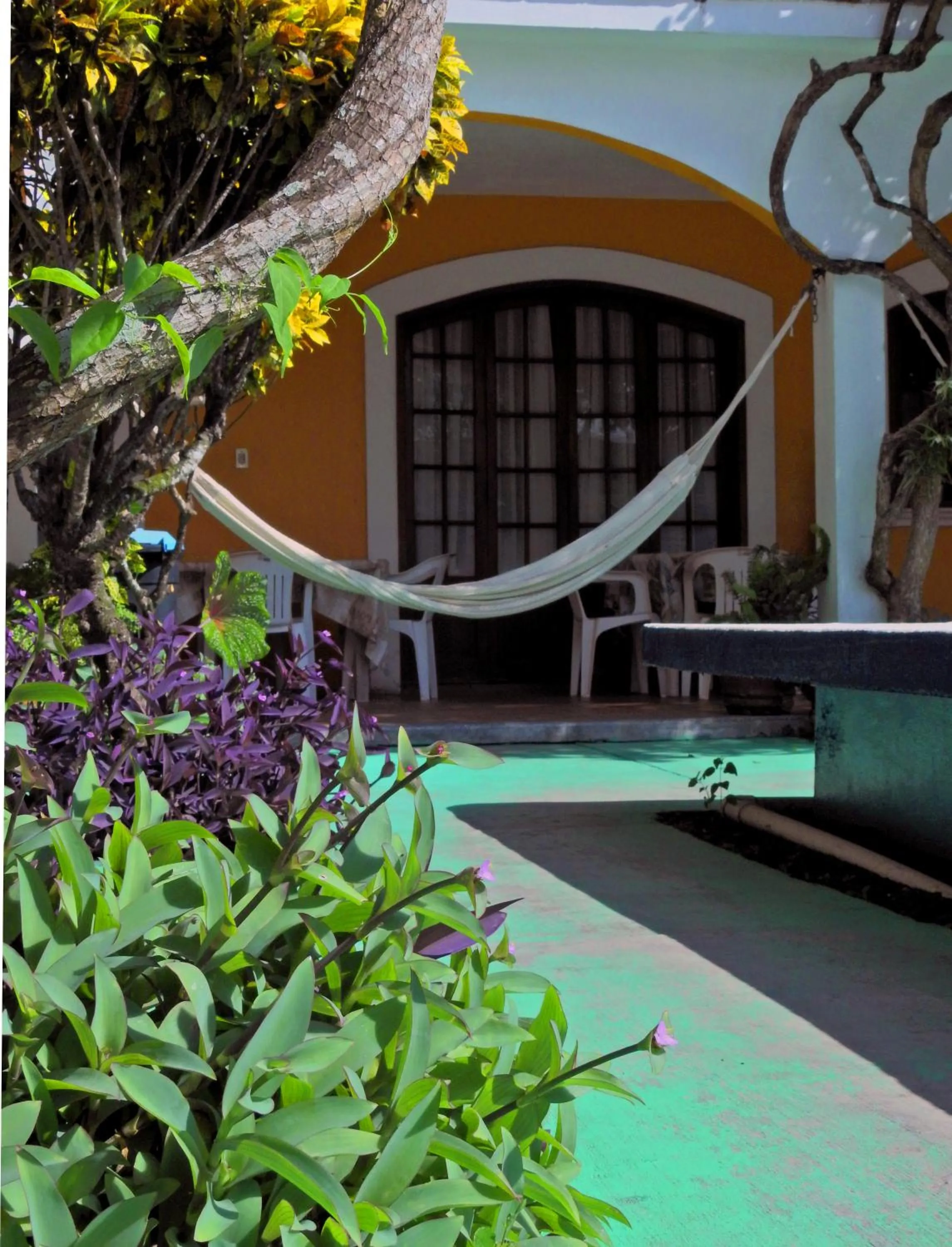 Garden in Don Luis Hostal - Sucursal Galeana - Tecolutla