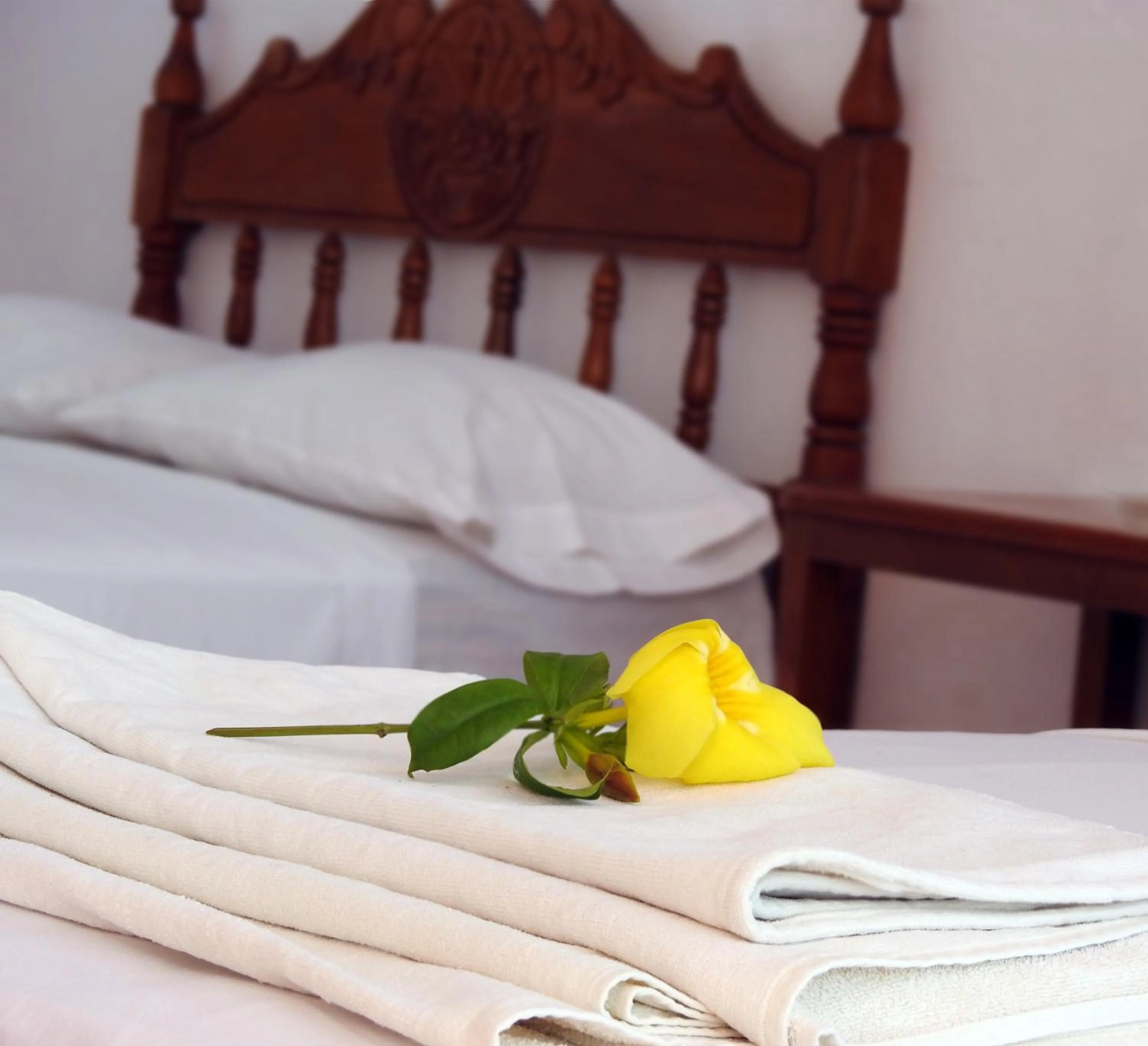 Decorative detail, Bed in Don Luis Hostal - Sucursal Galeana - Tecolutla