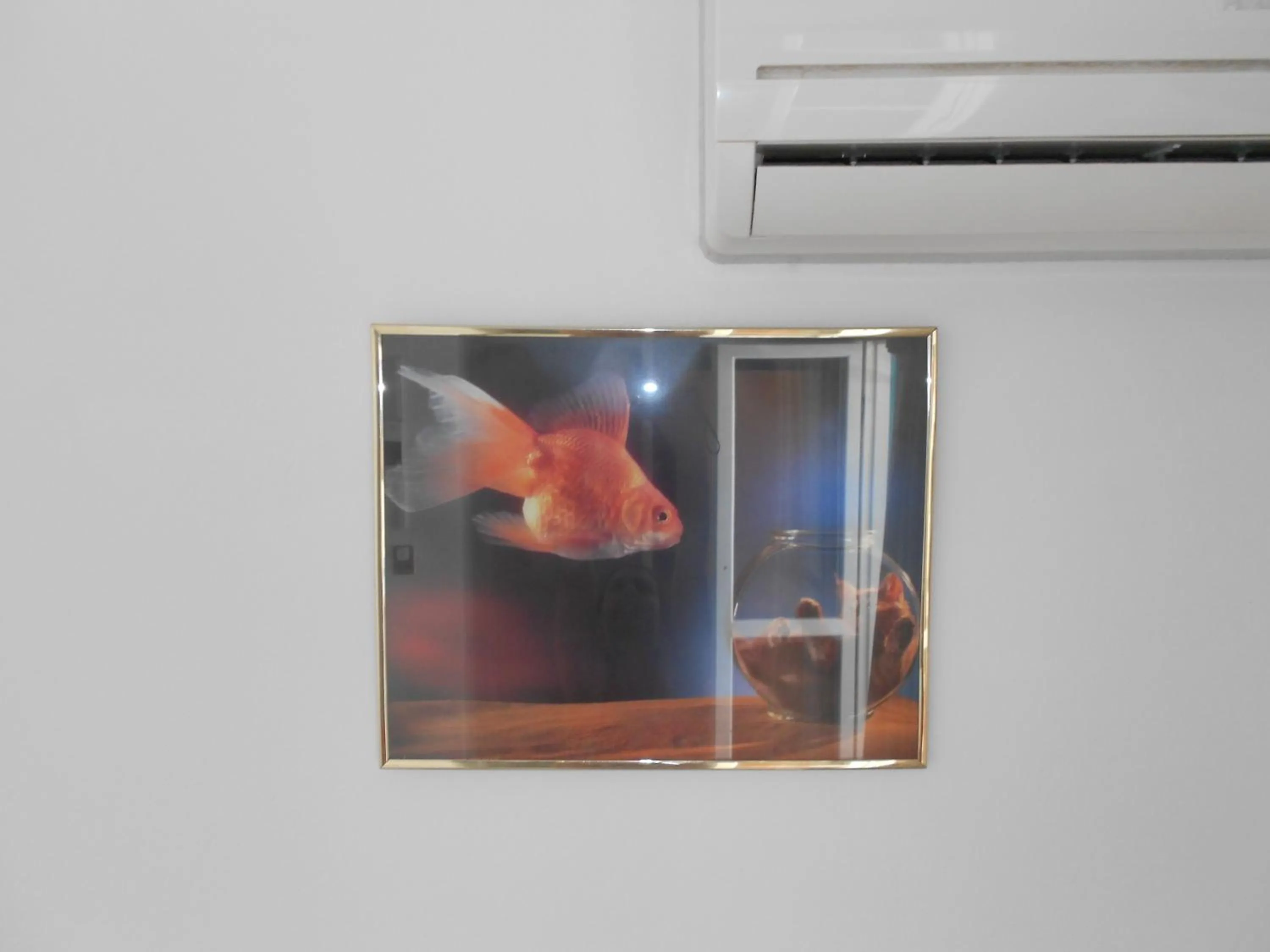 Other in Zorbas Hotel