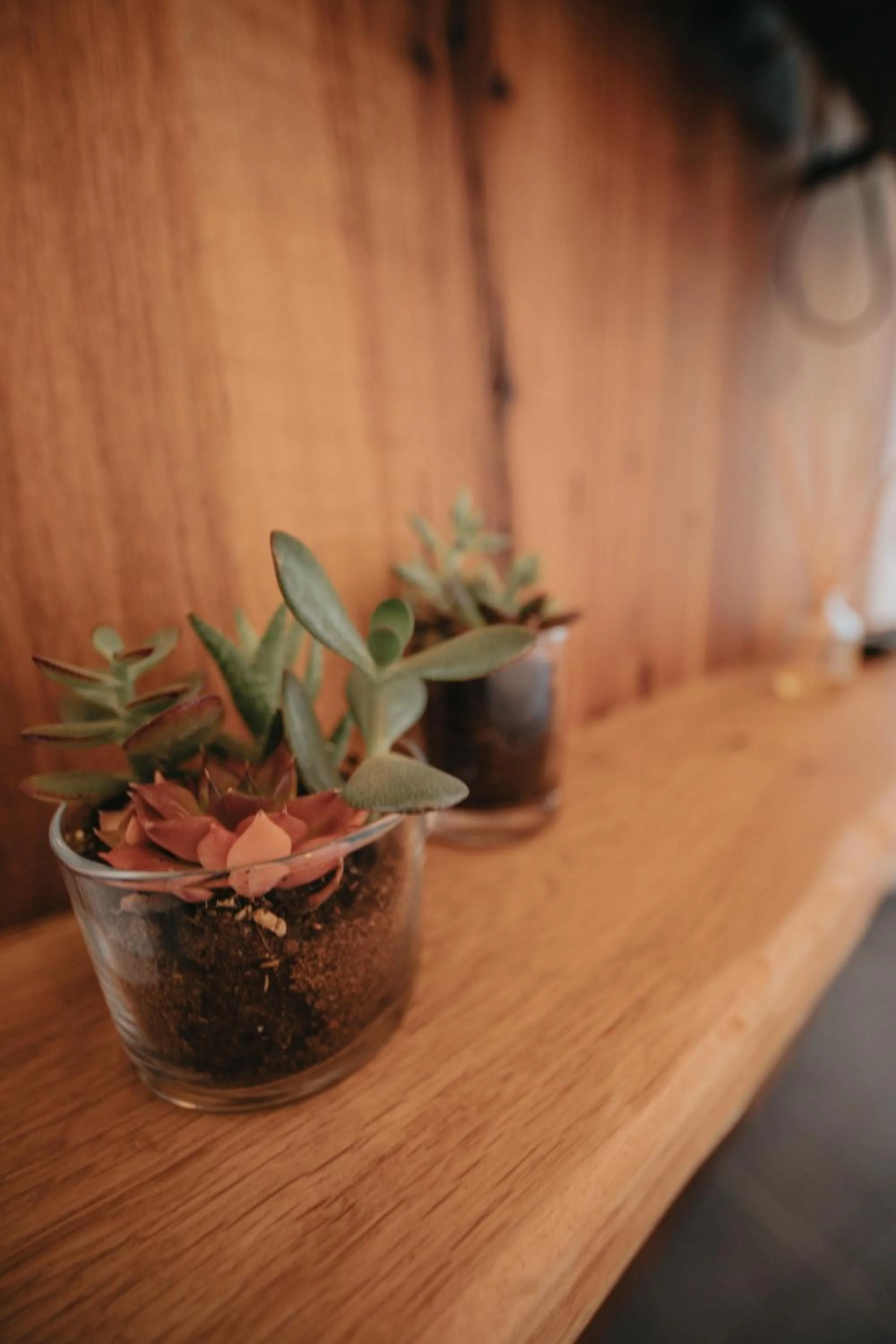 Other in Büyükada Loc'ada