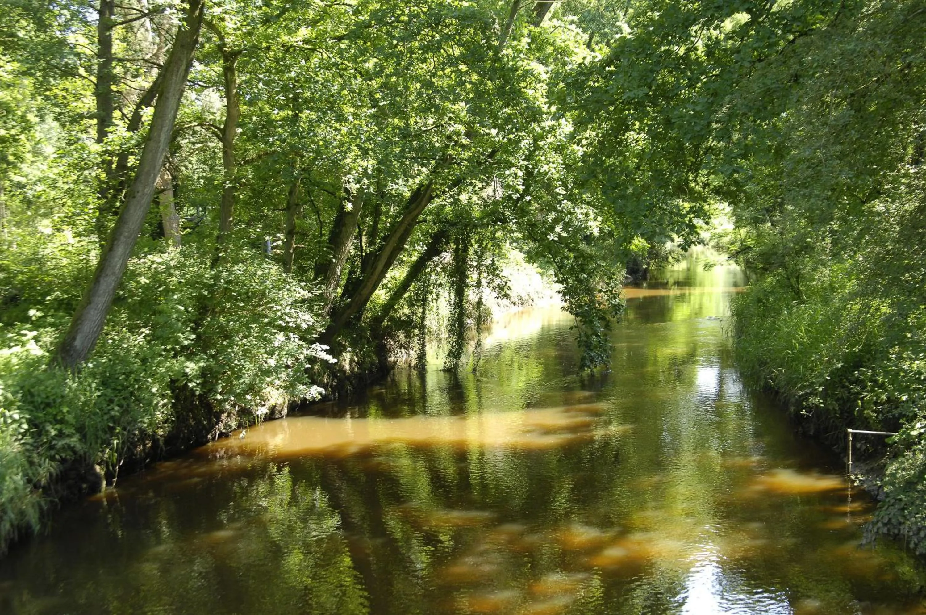 Natural landscape in Hotel Schepers