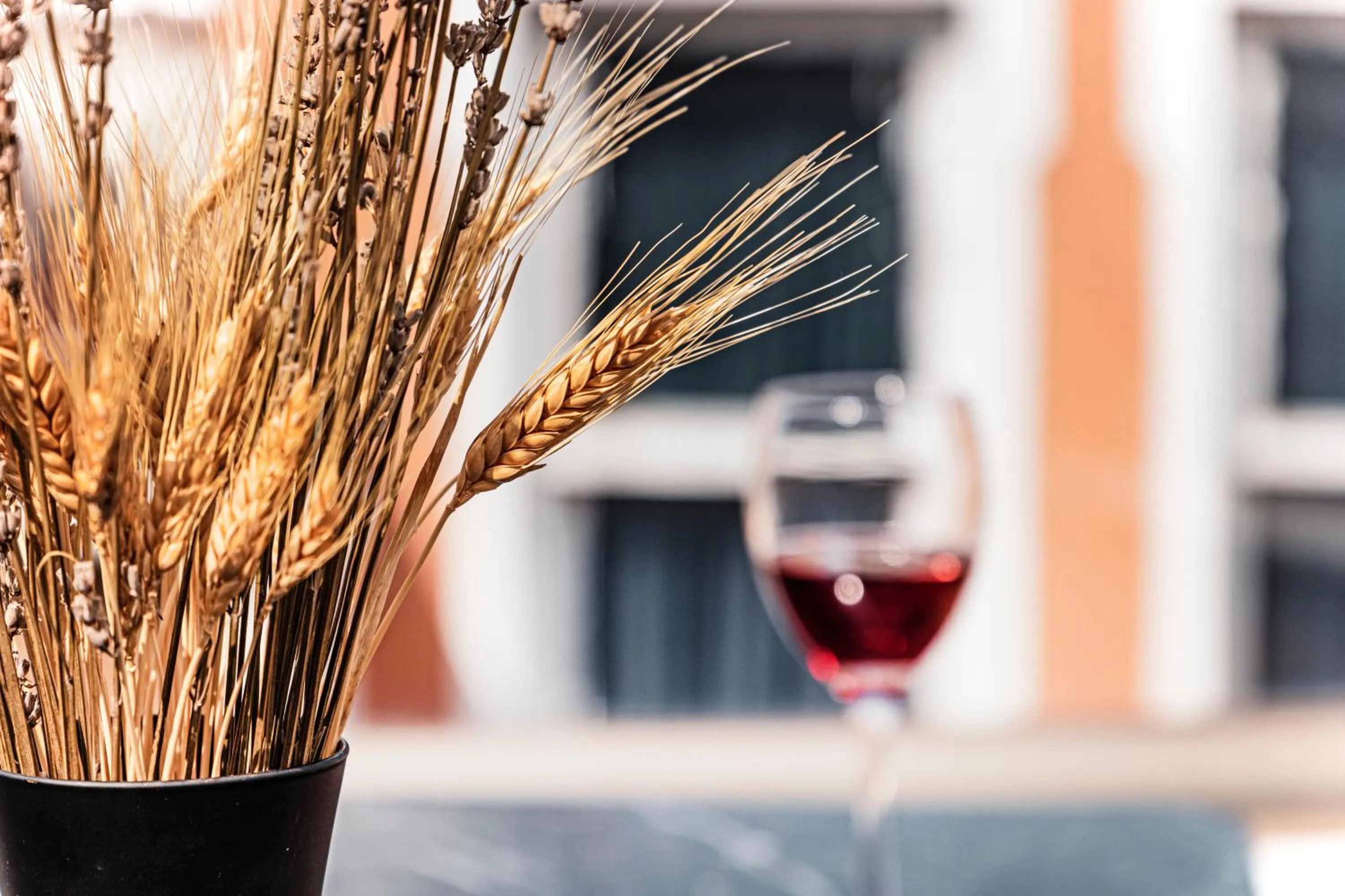 Drinks in Galata Door Hotel