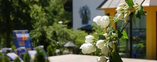 Day in Boutique Hotel Dorer