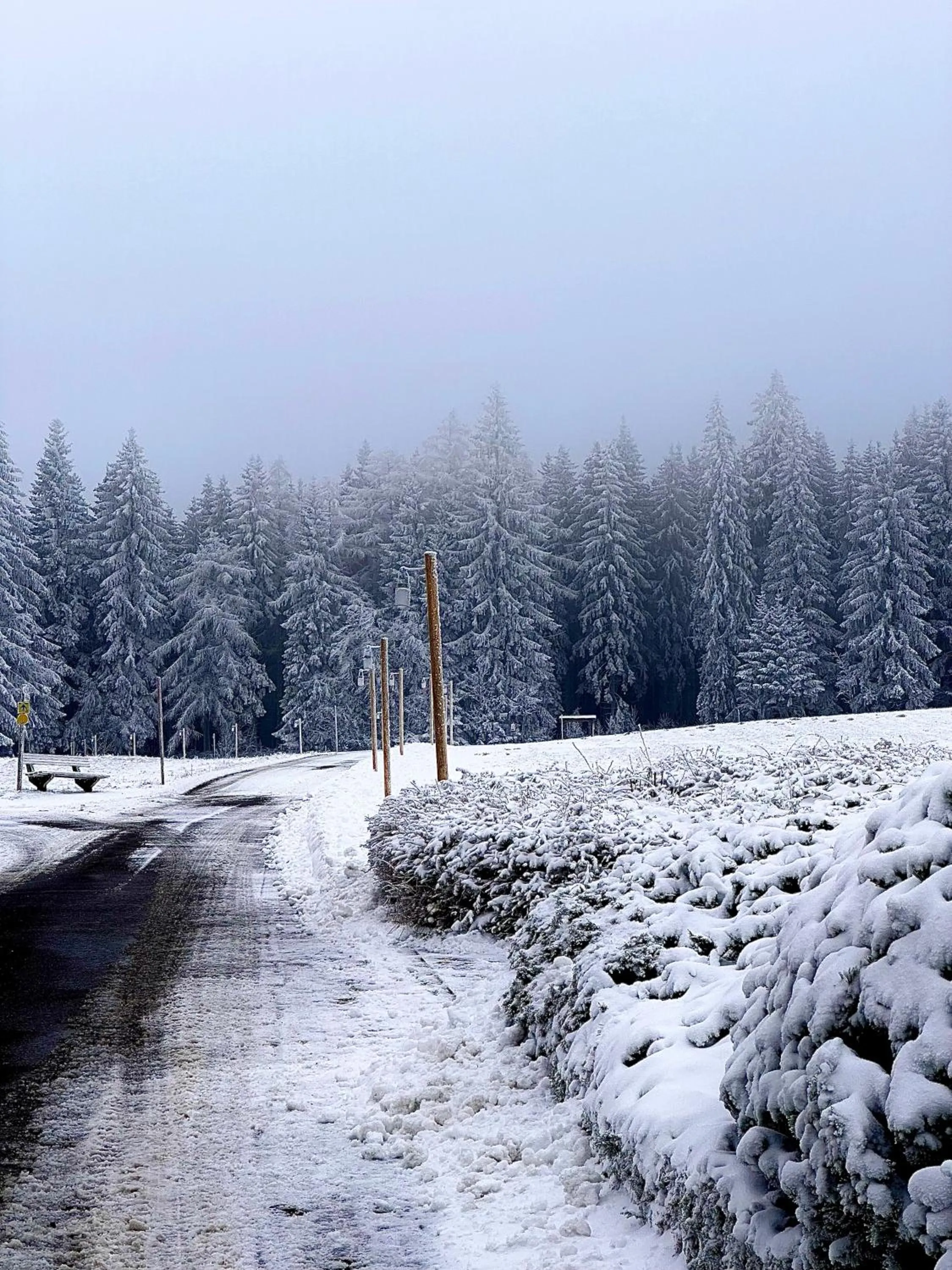 Area and facilities in Boutique Hotel Dorer