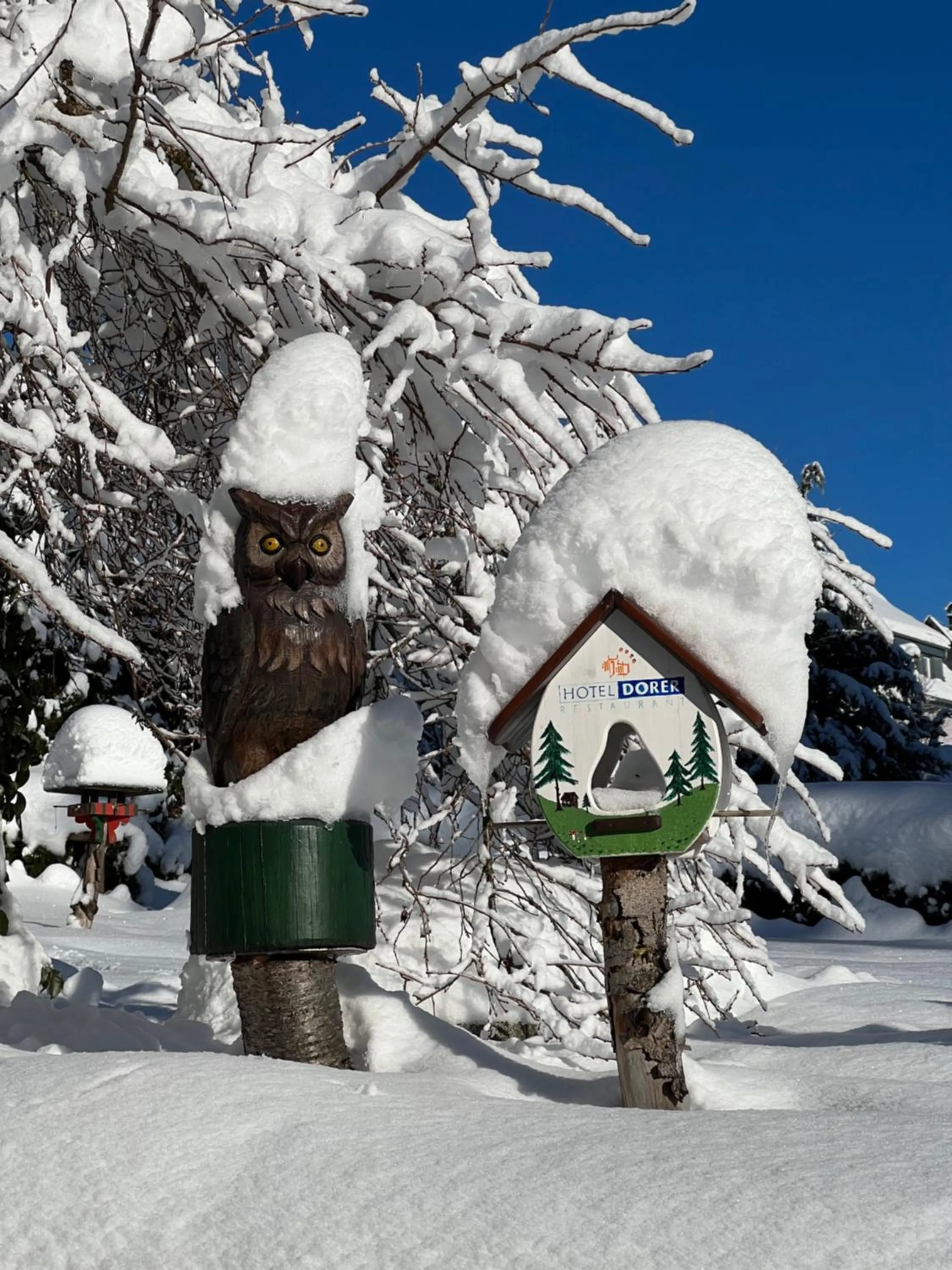 Property building in Boutique Hotel Dorer