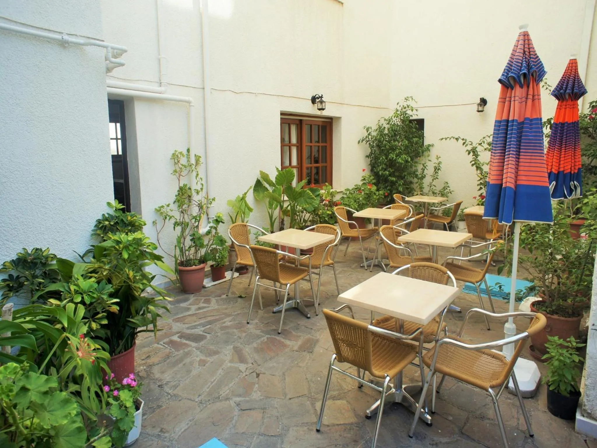 Area and facilities in Anthemis Hotel