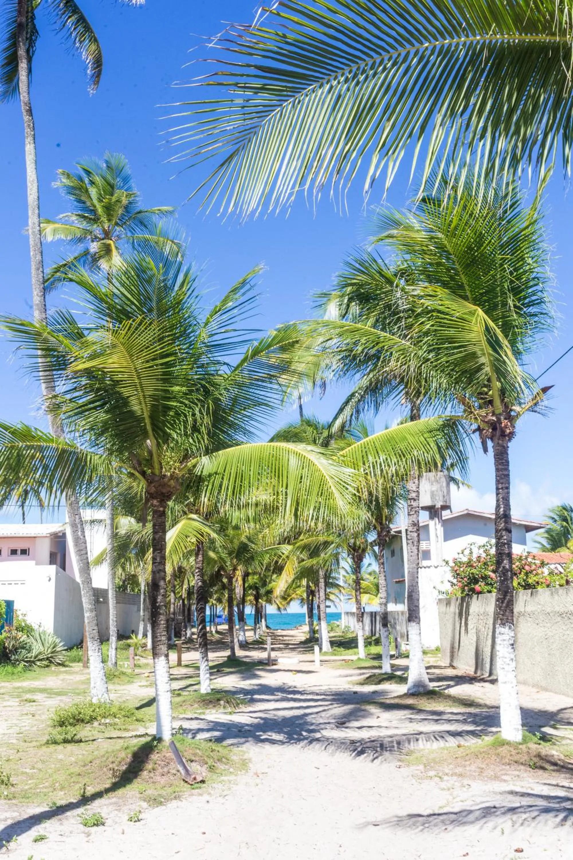 Beach in Vila do Galo