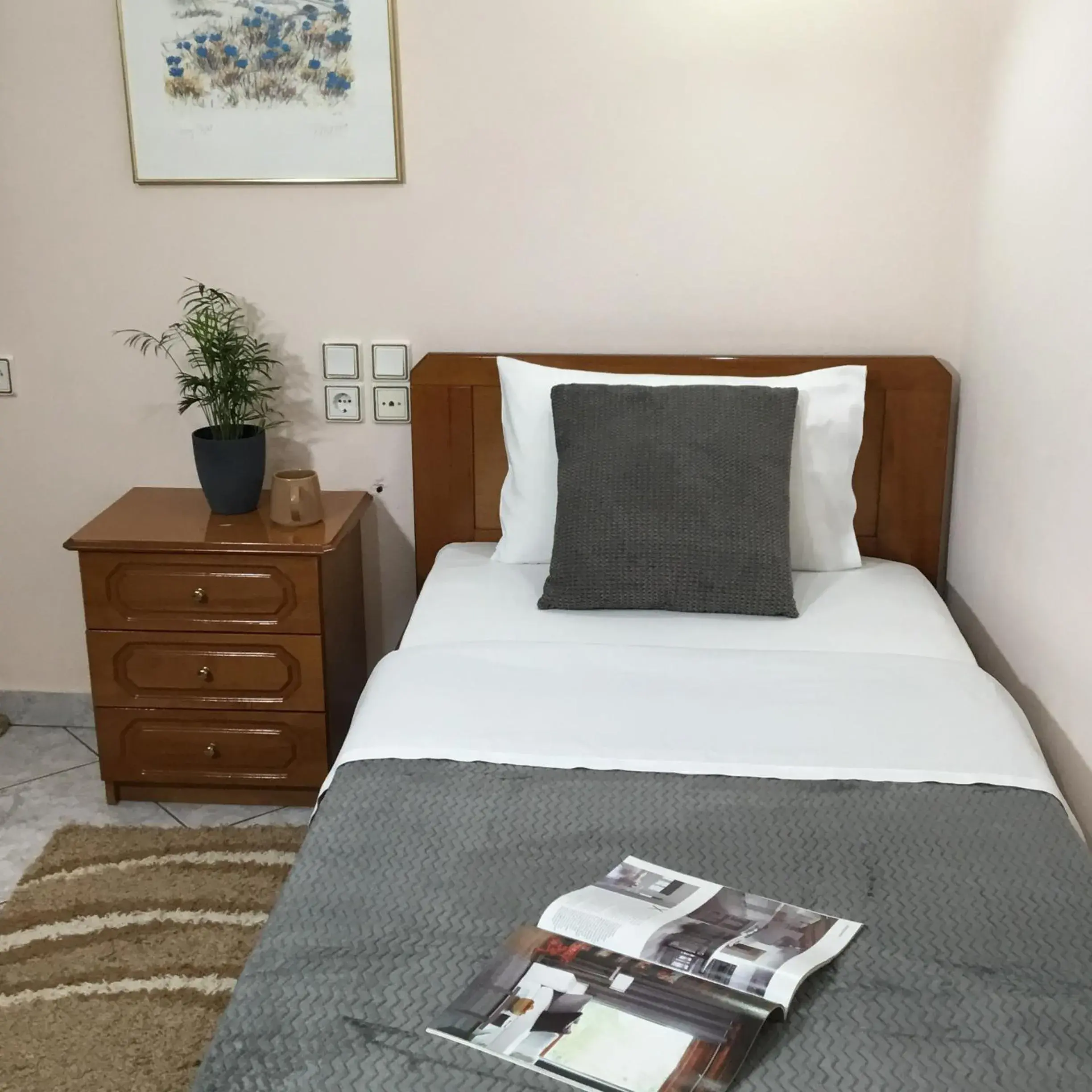 Single Room with Terrace - single occupancy in Hotel Triantafyllou Single Room with Terrace - single occupancy in Hotel Triantafyllou