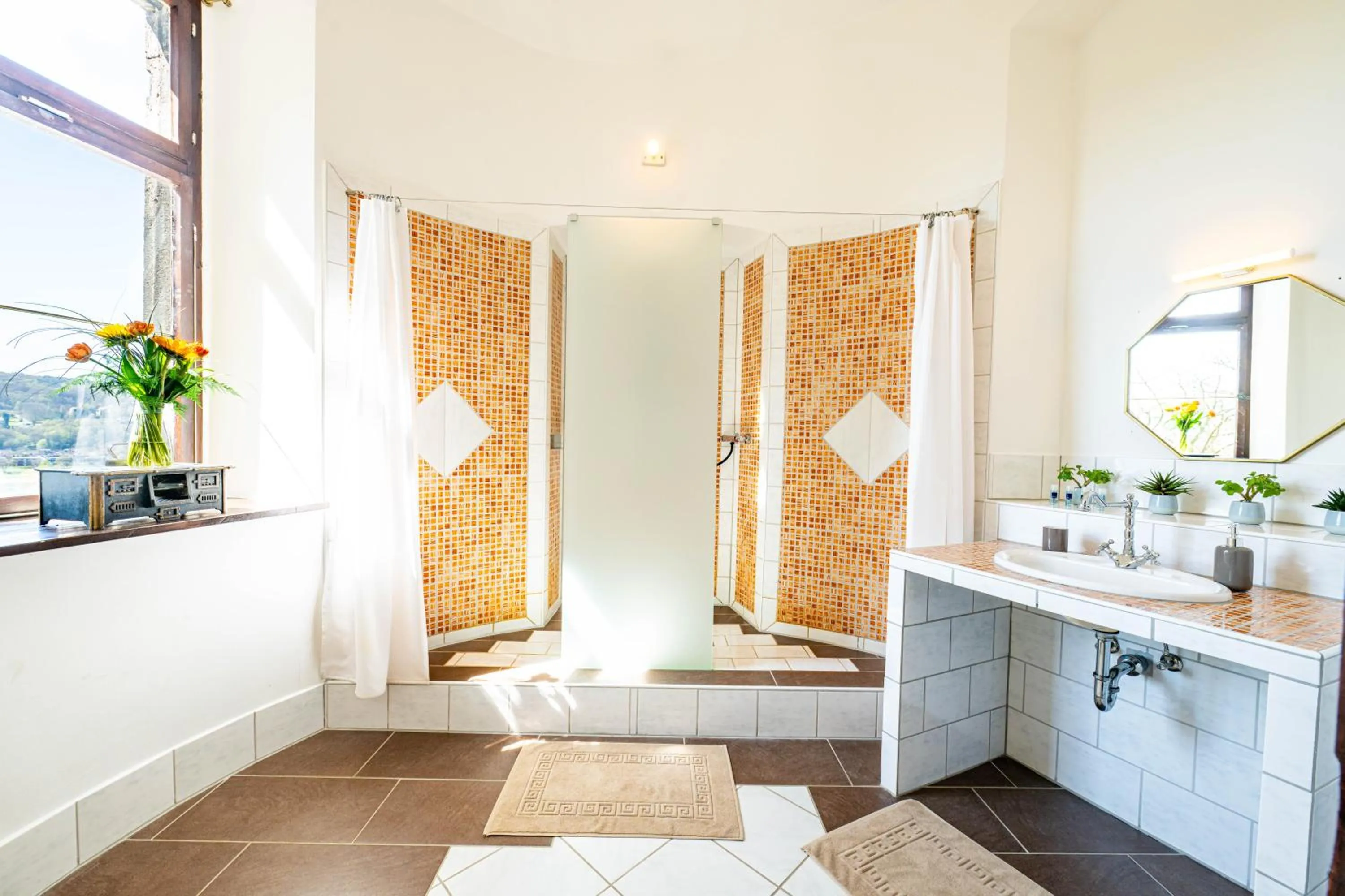 Shower in Schloss Arenfels