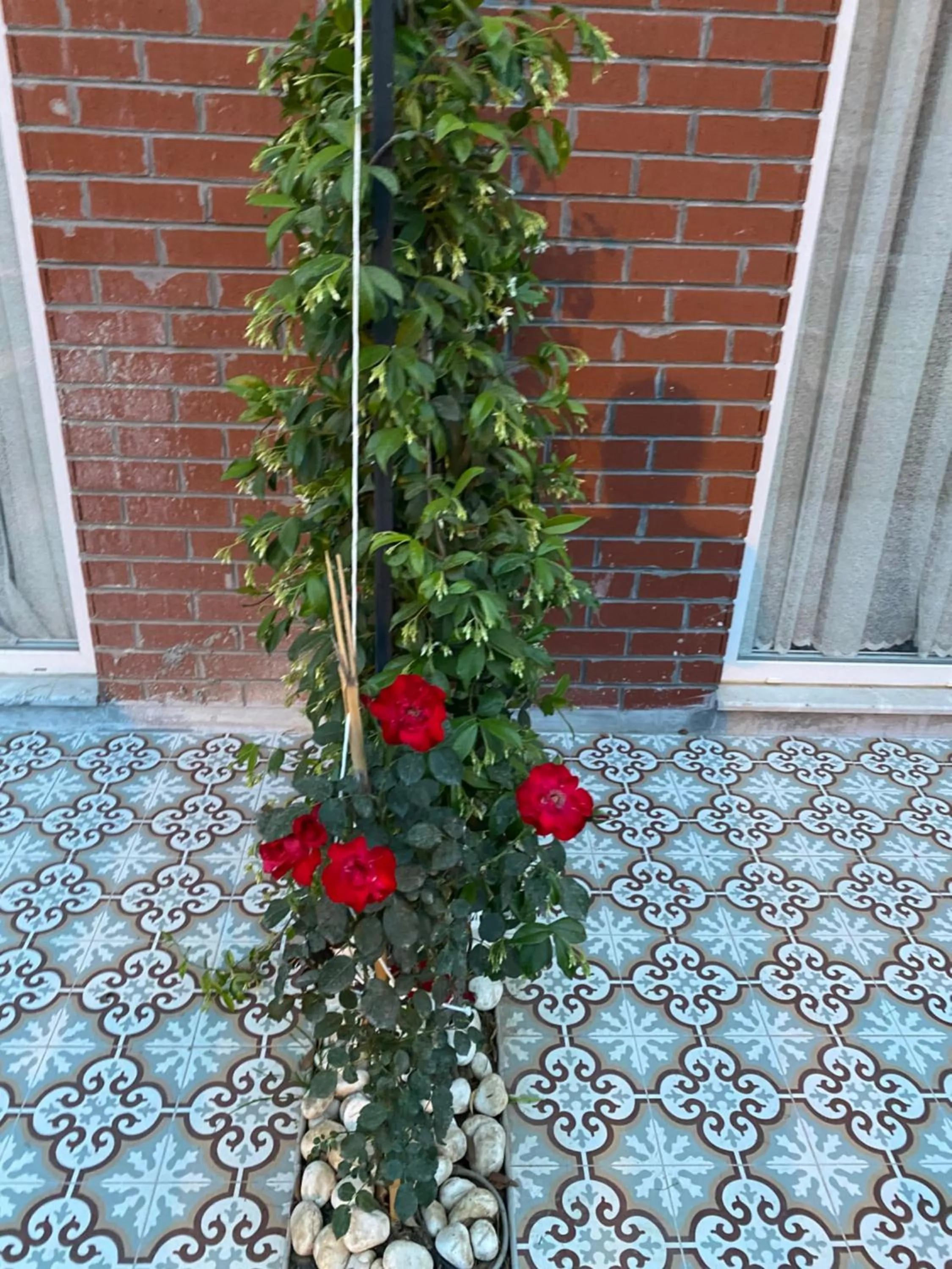 Balcony/Terrace in OFURO WORLD HOTEL SPA