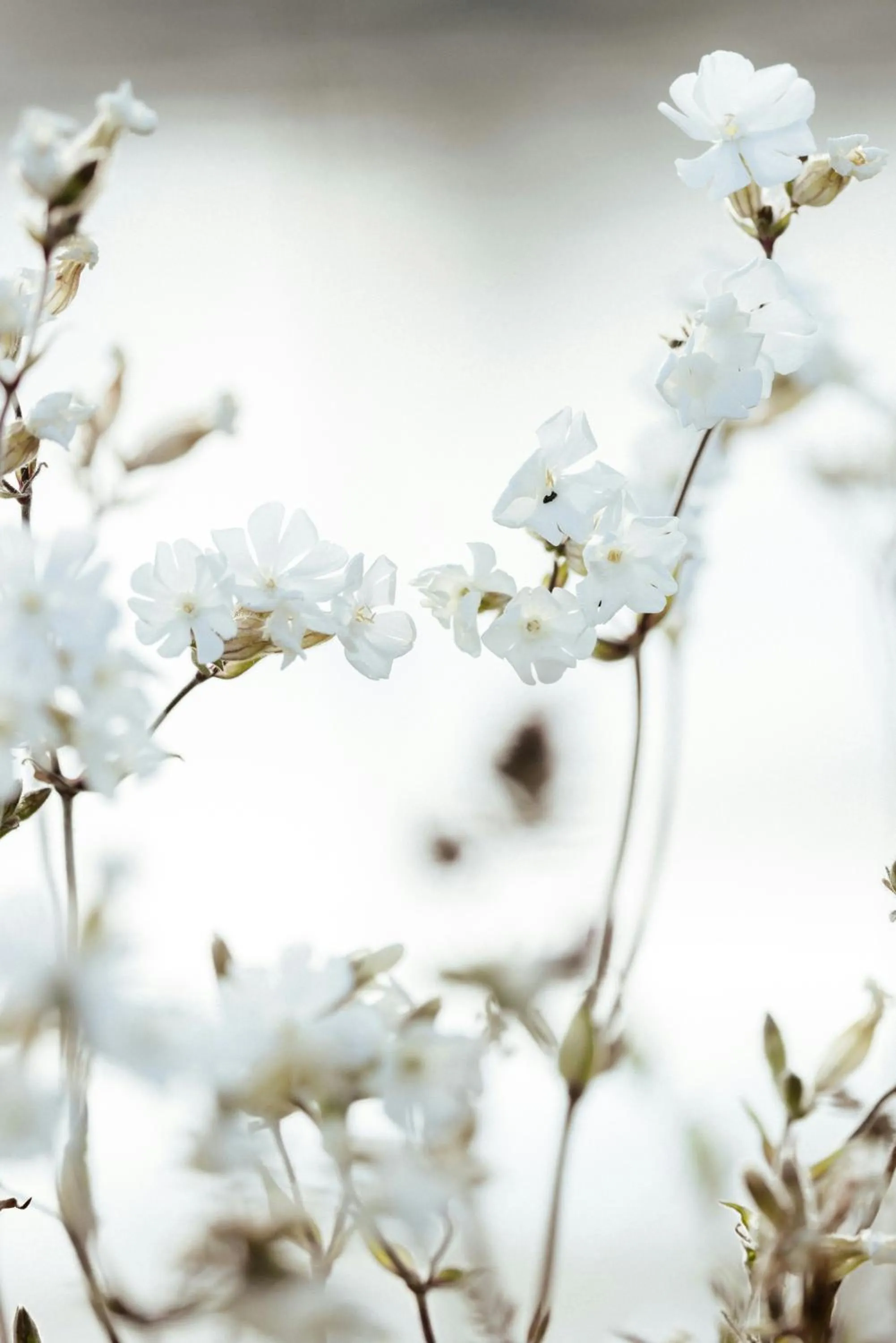 Decorative detail in Kona Hotel Verona by Kleos Group Collection