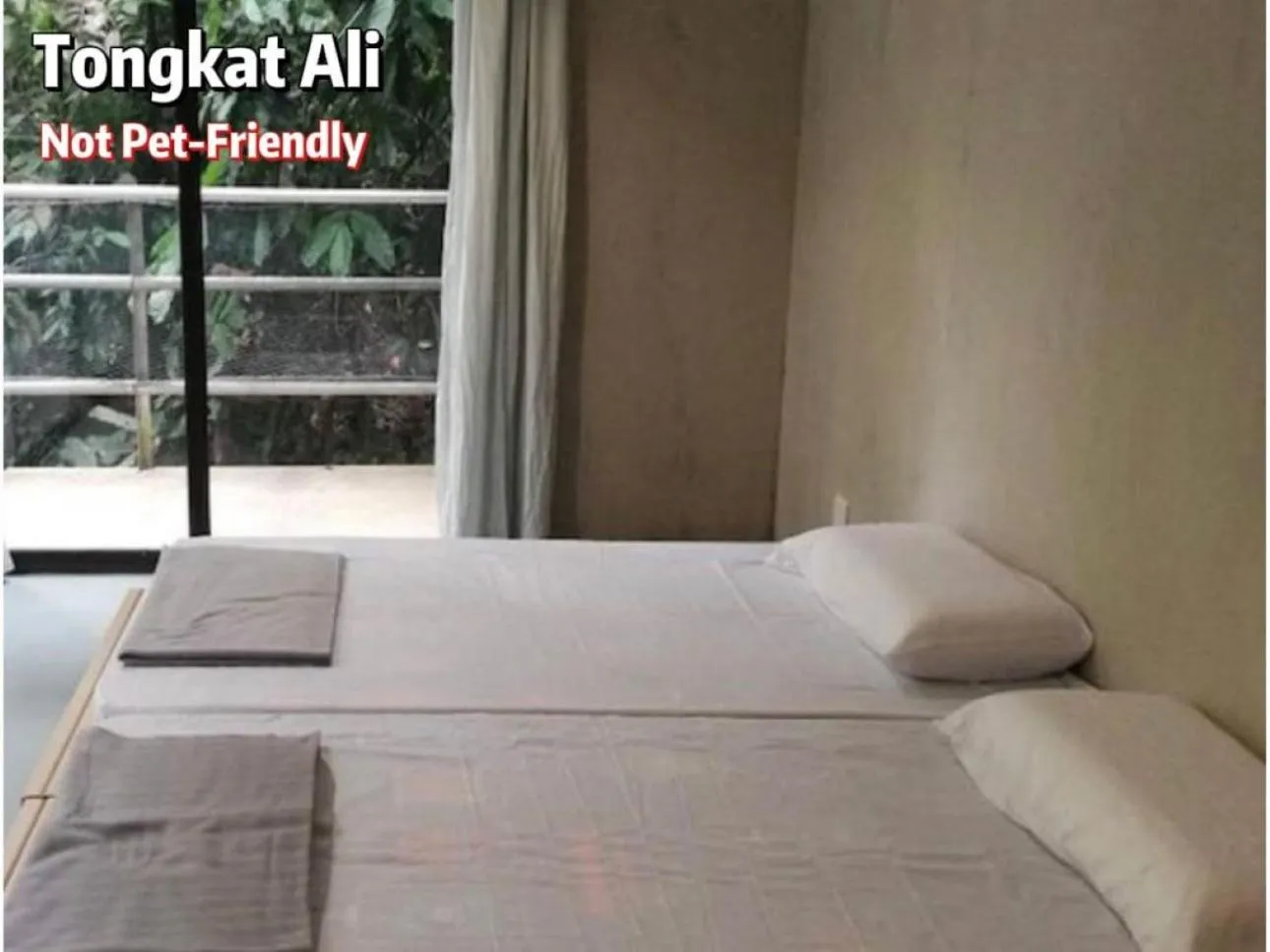 Twin Room with Private Bathroom in Gibbon Retreat Bentong
