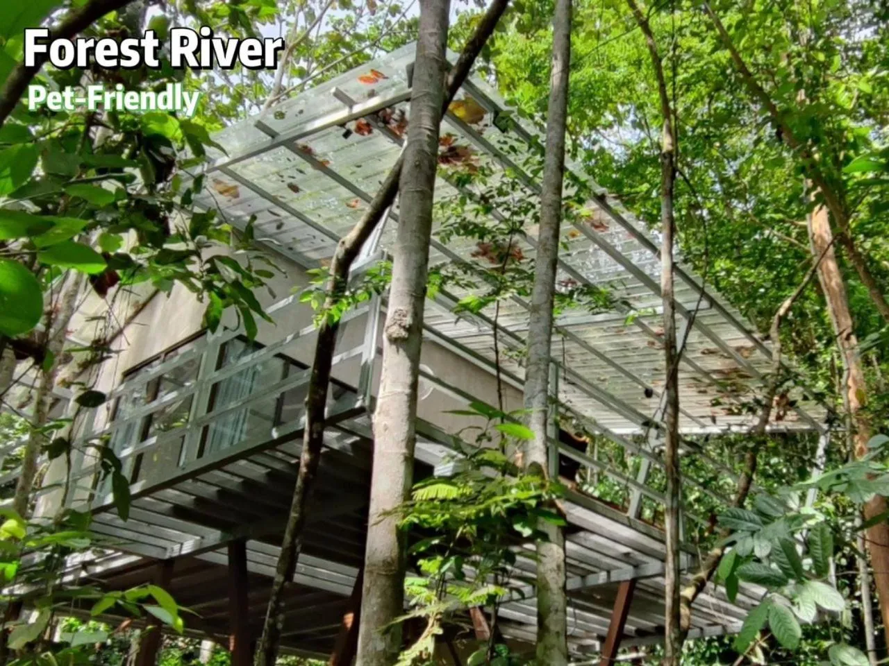 Gibbon Retreat Bentong