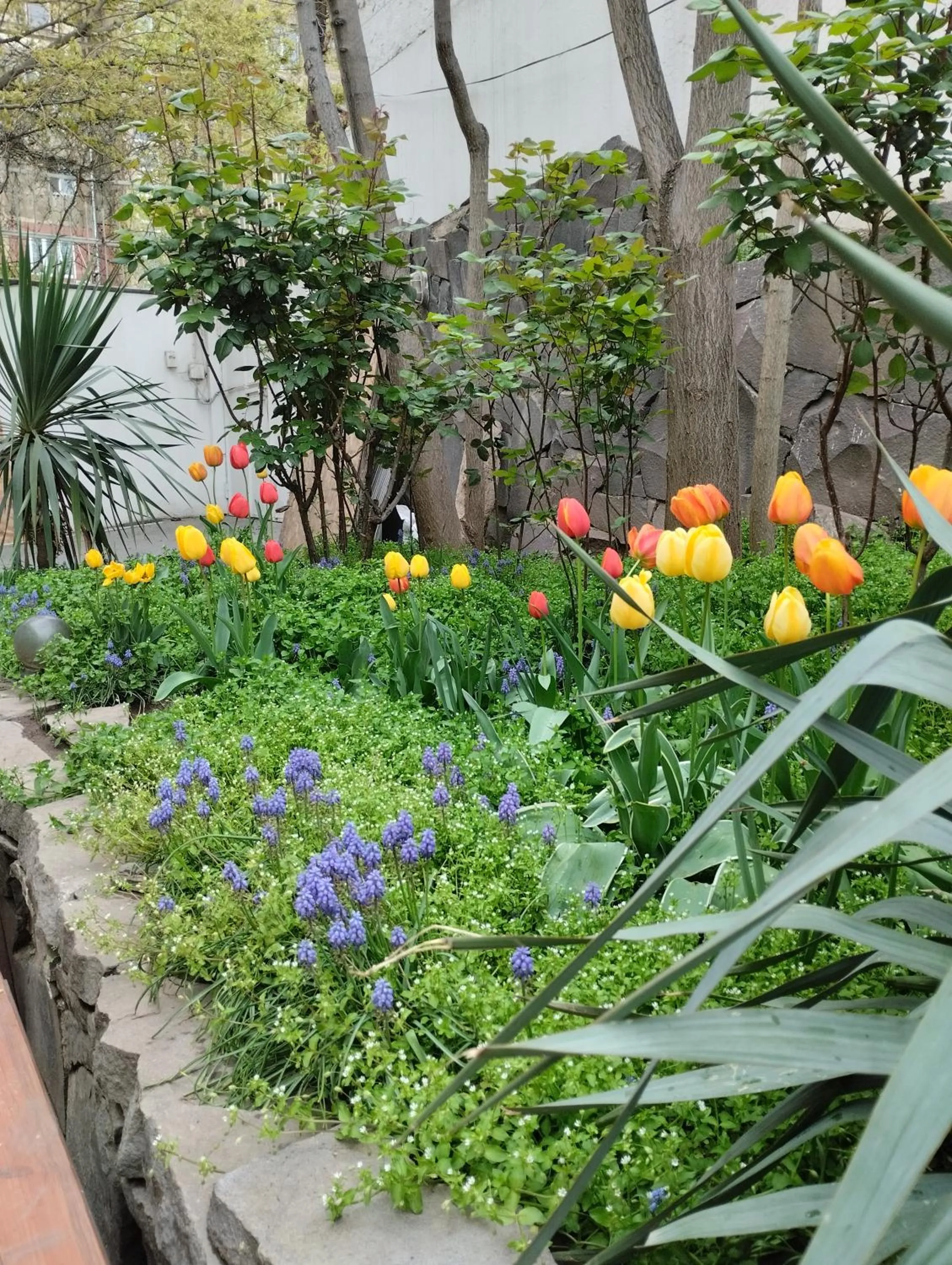 Spring in JR's House