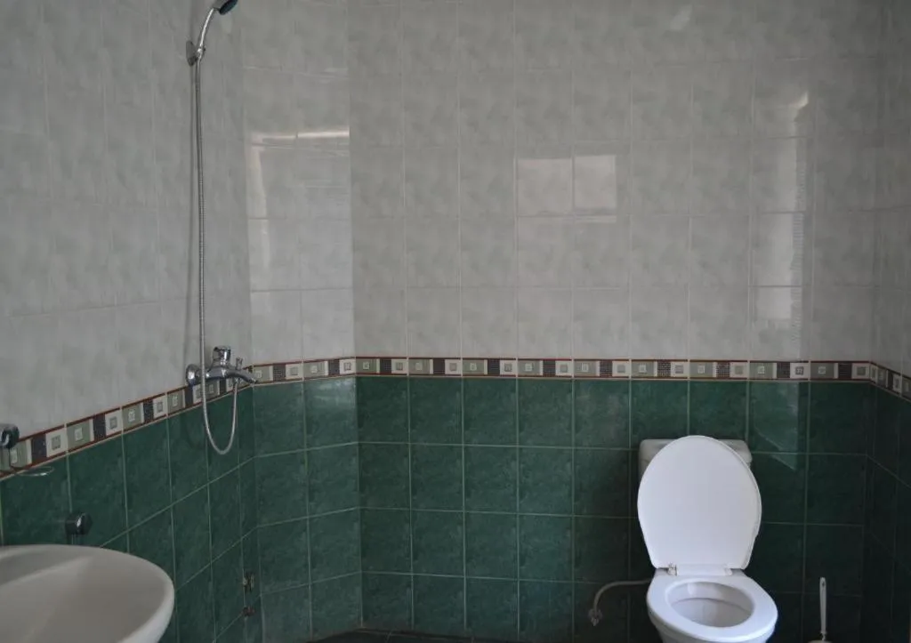 Toilet in JR's House