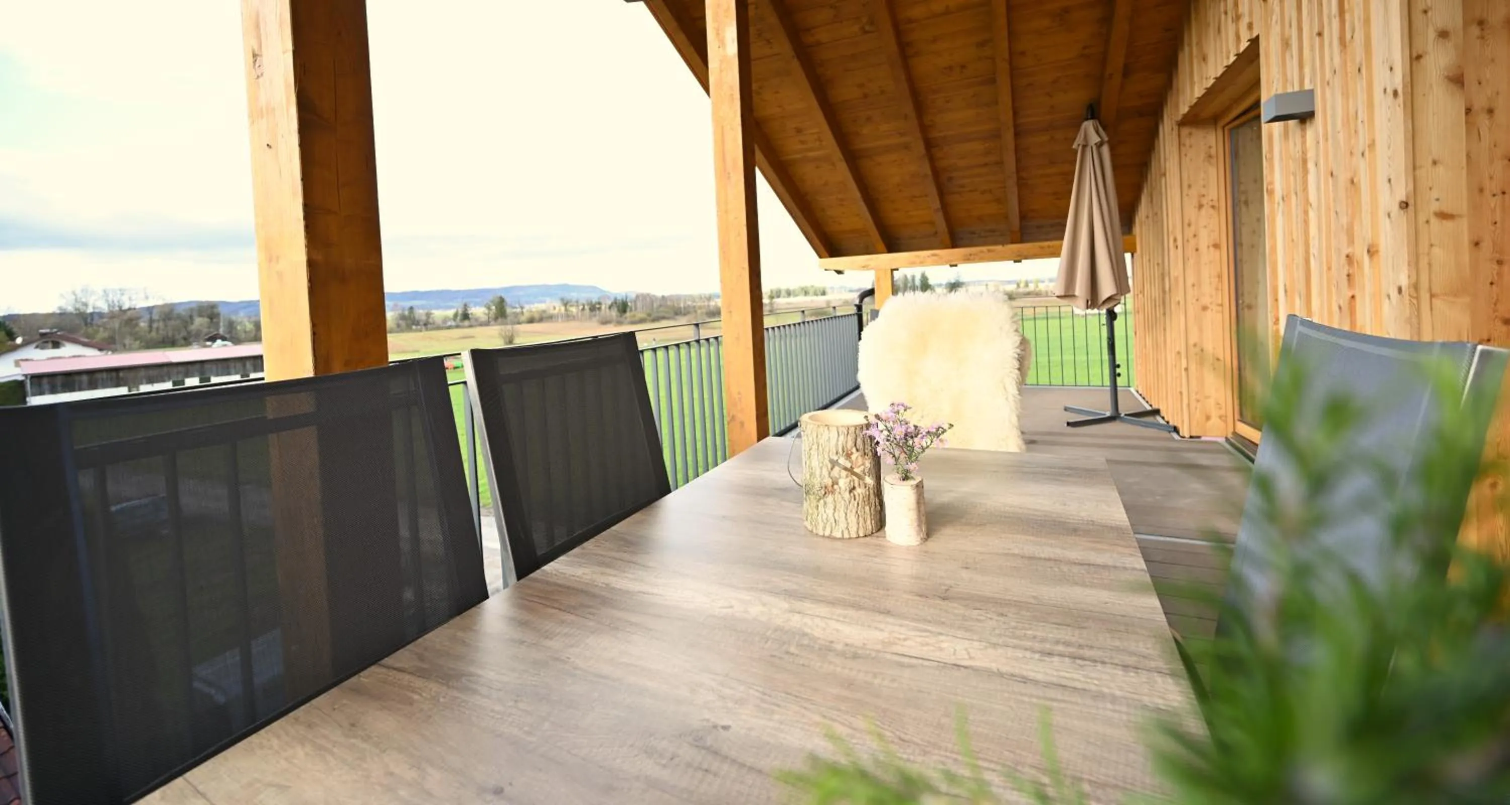 Balcony/Terrace in Danner-Hof