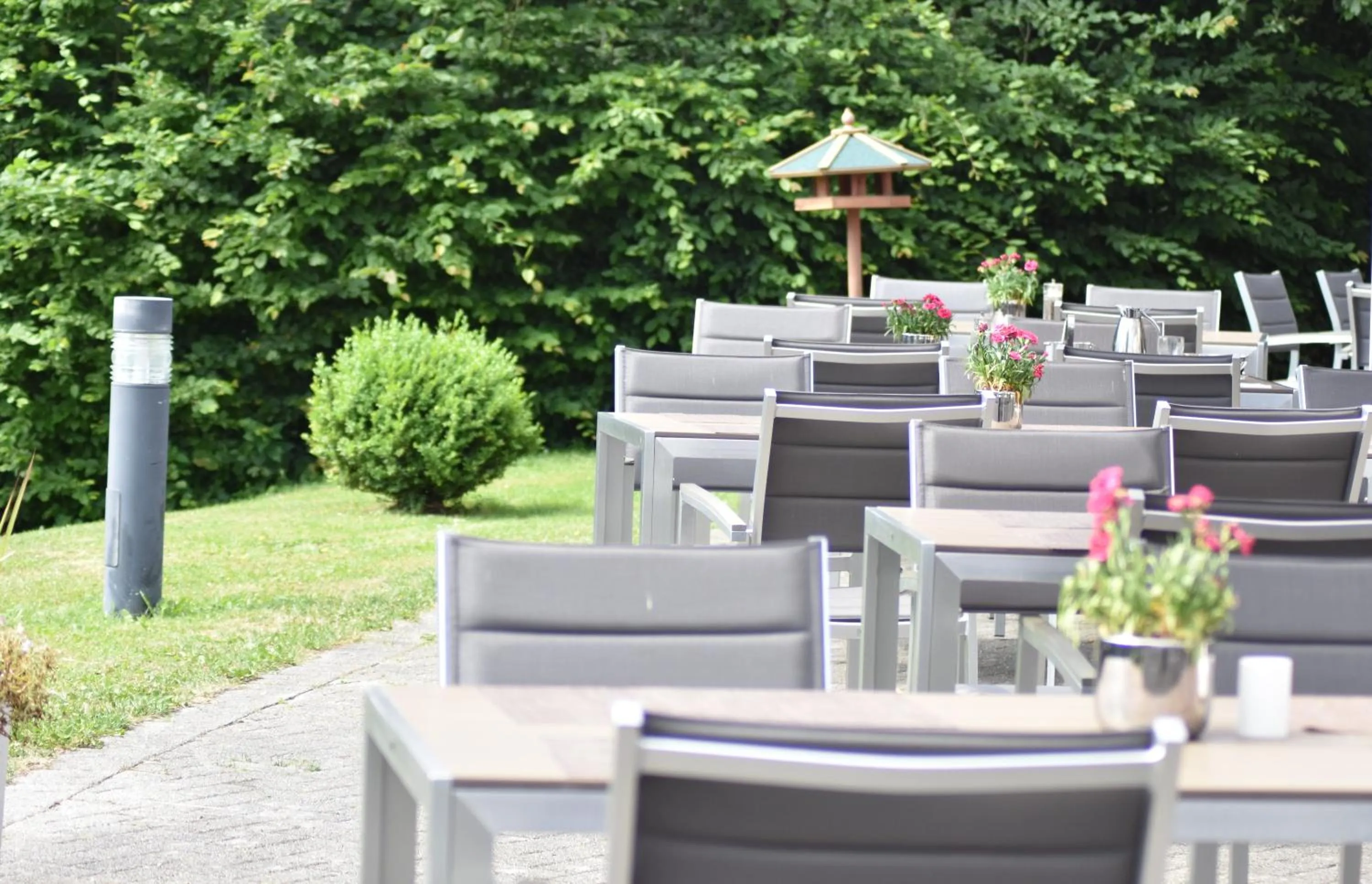 Restaurant/places to eat in Trans World Hotel Kranichhöhe