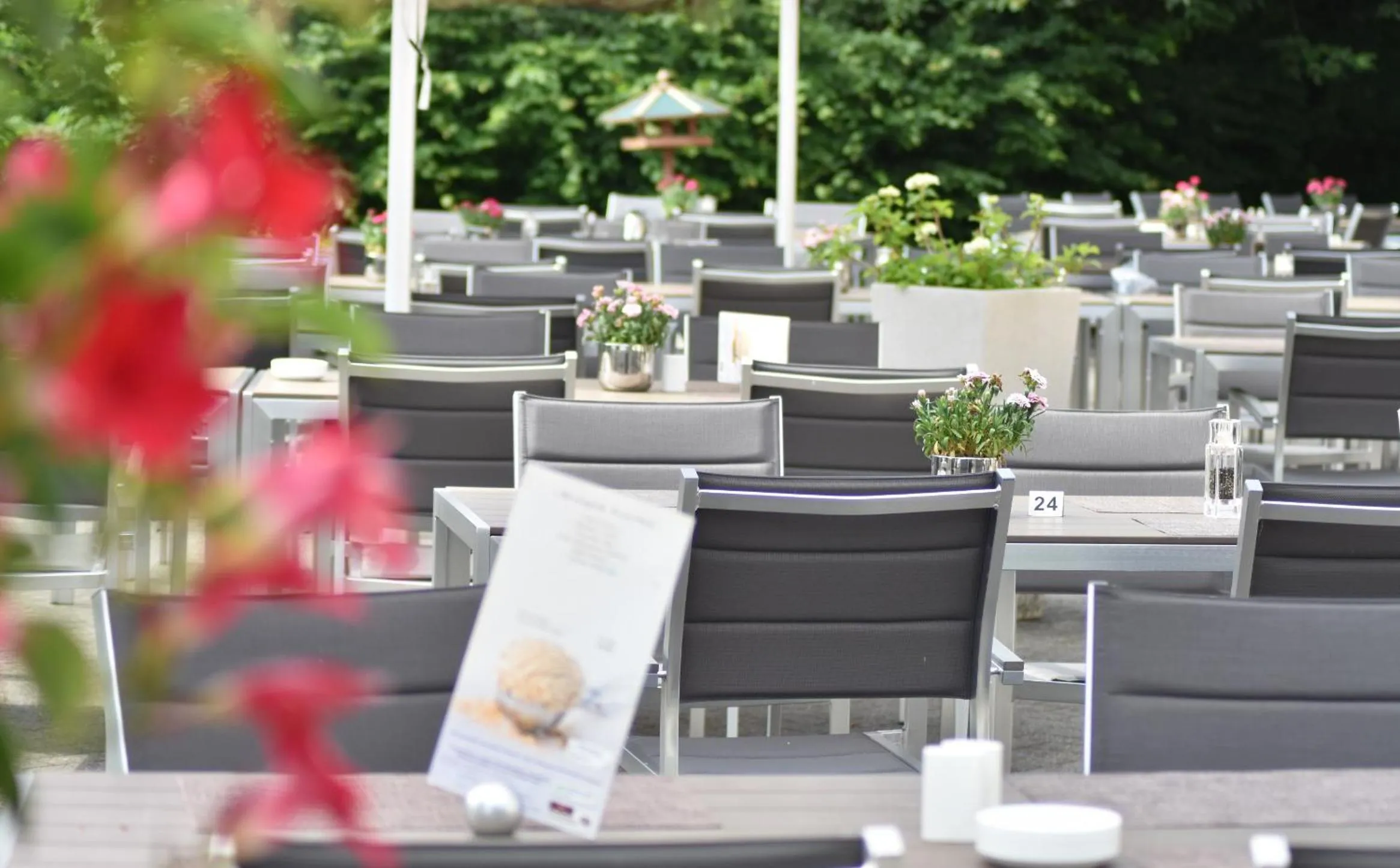 Restaurant/places to eat in Trans World Hotel Kranichhöhe