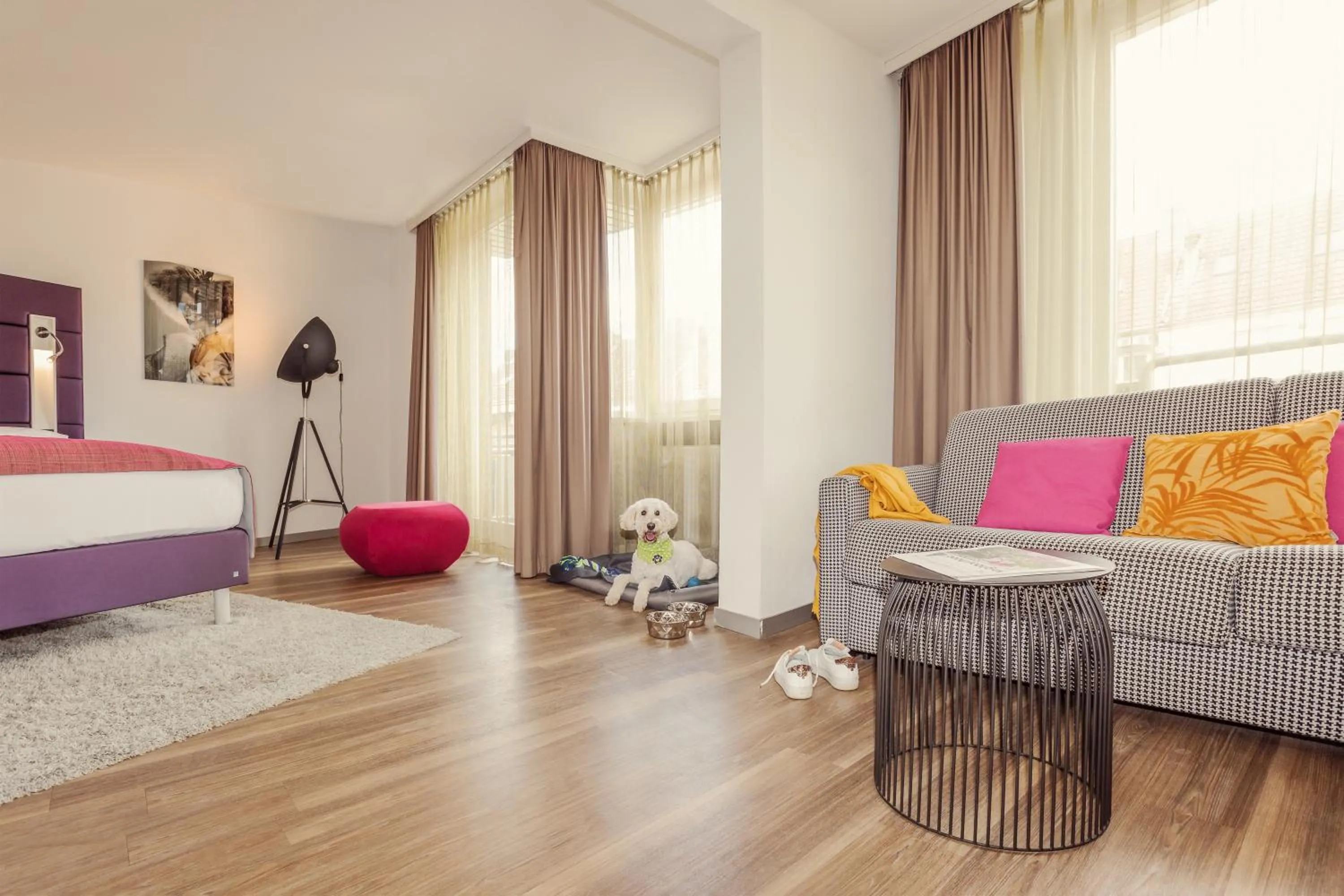 Pets, Bed in Hotel Indigo - Dusseldorf - Victoriaplatz by IHG