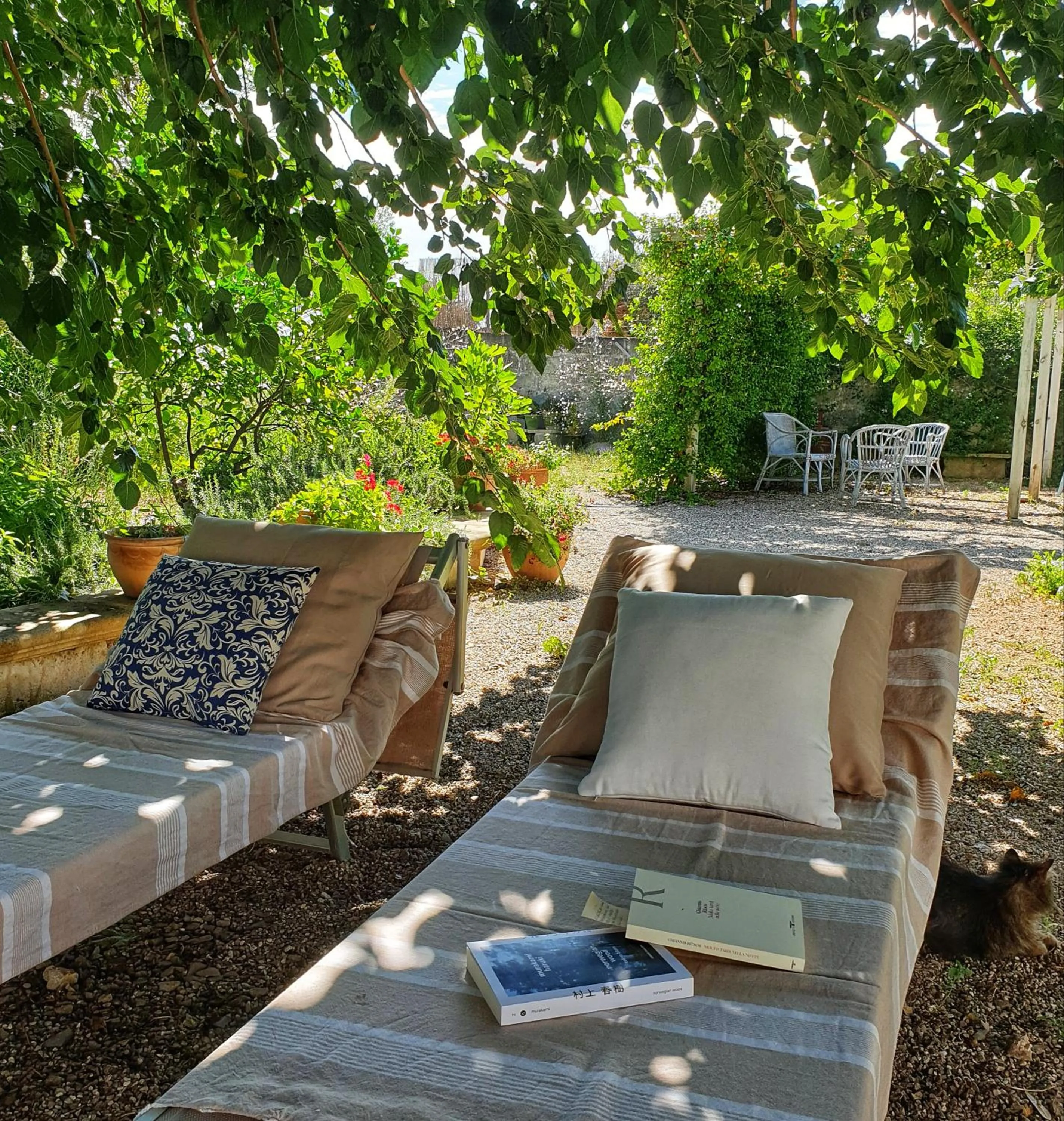 B&B Il giardino ritrovato