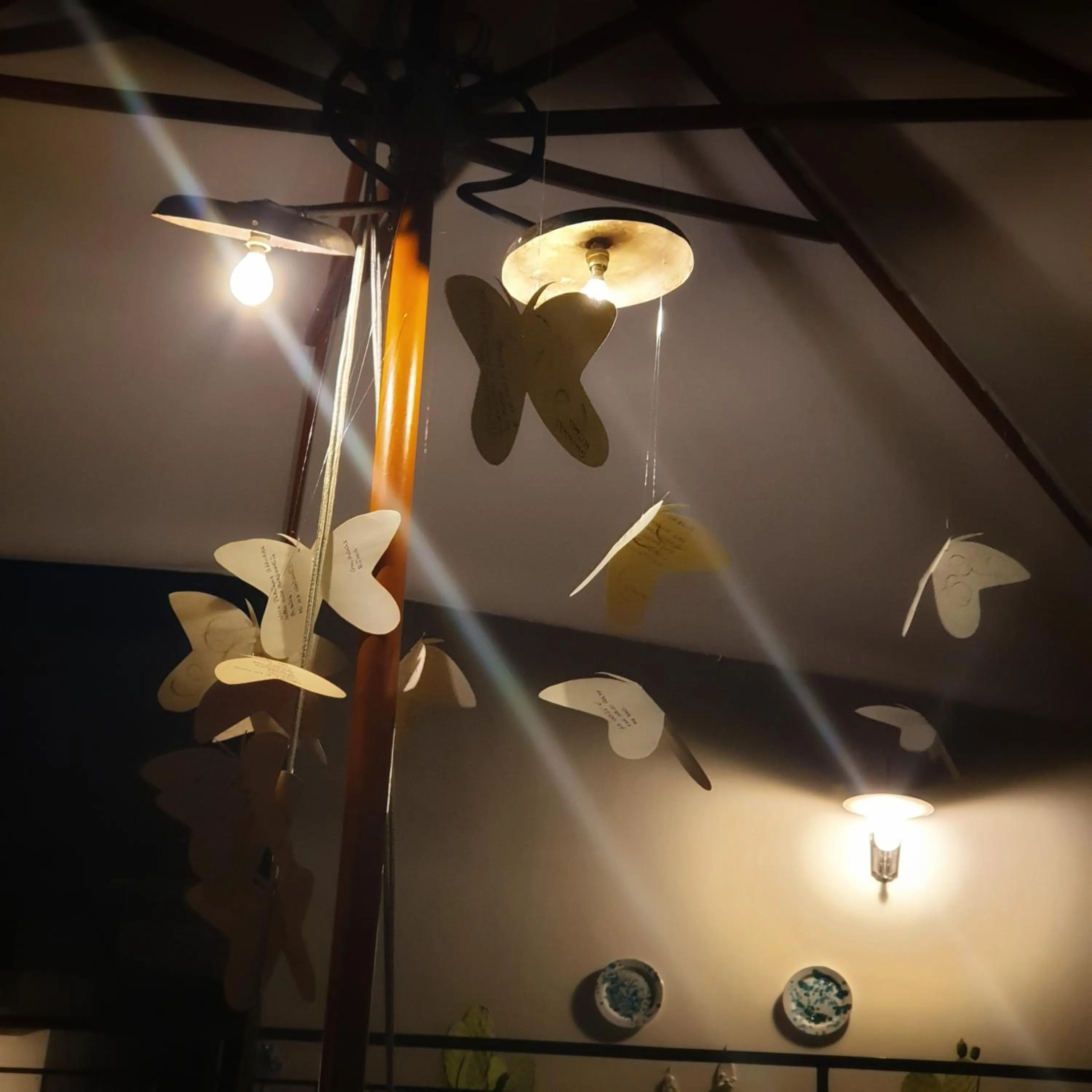 B&B Il giardino ritrovato