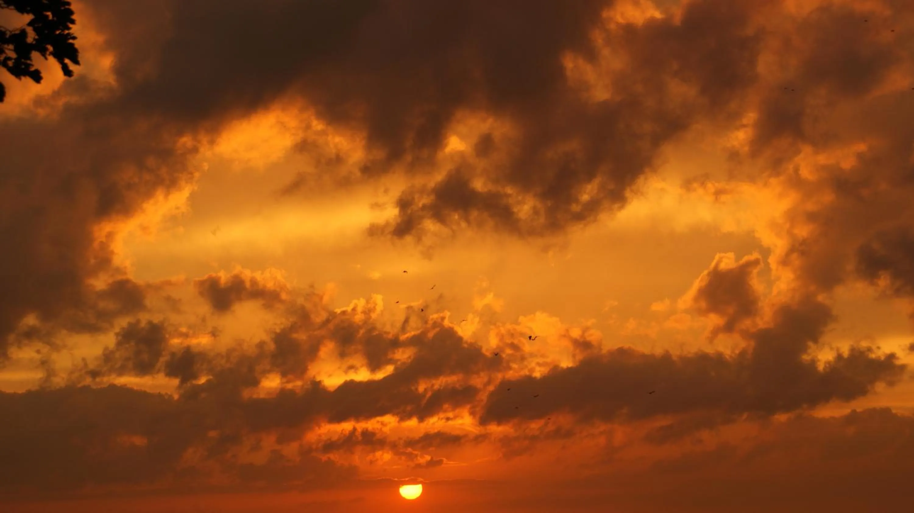 Sunset in Rockville House B&B