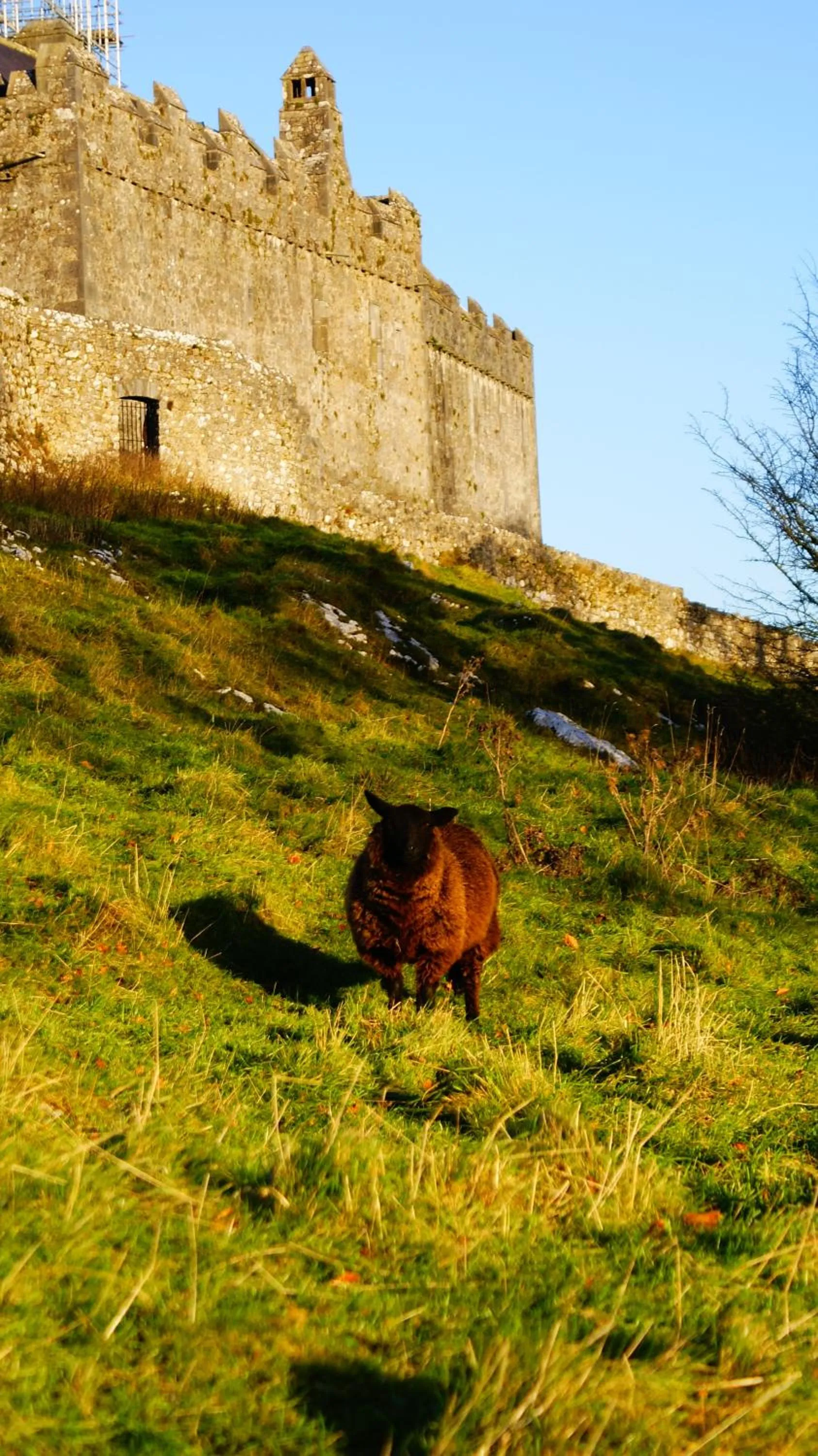 Landmark view in Rockville House B&B