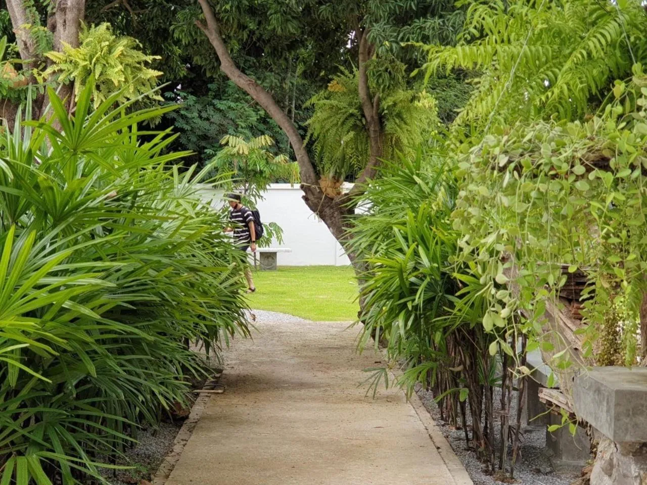 Property building in Palin Family Cottage