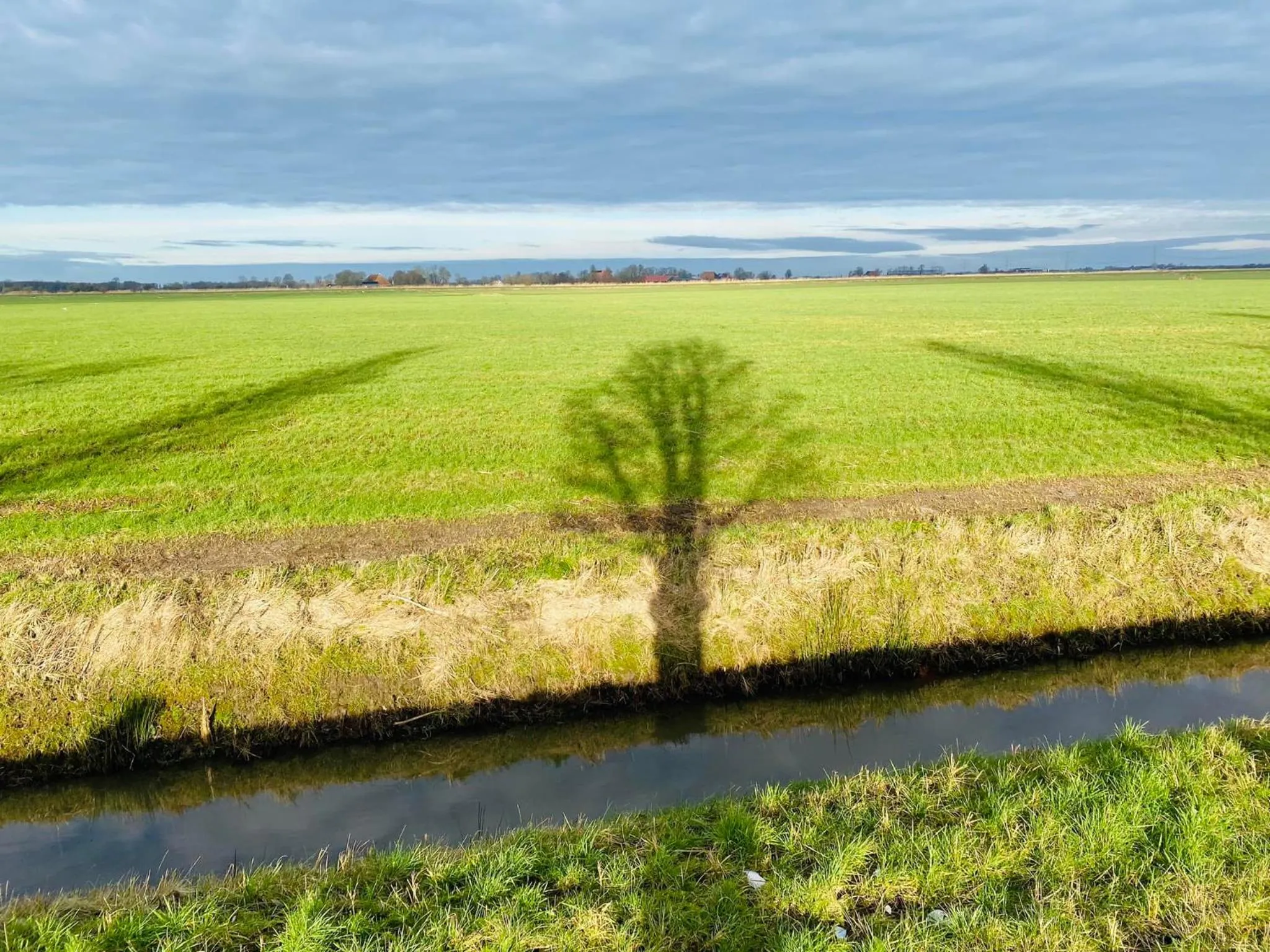 Spring in Mauritiuskerk Studio's