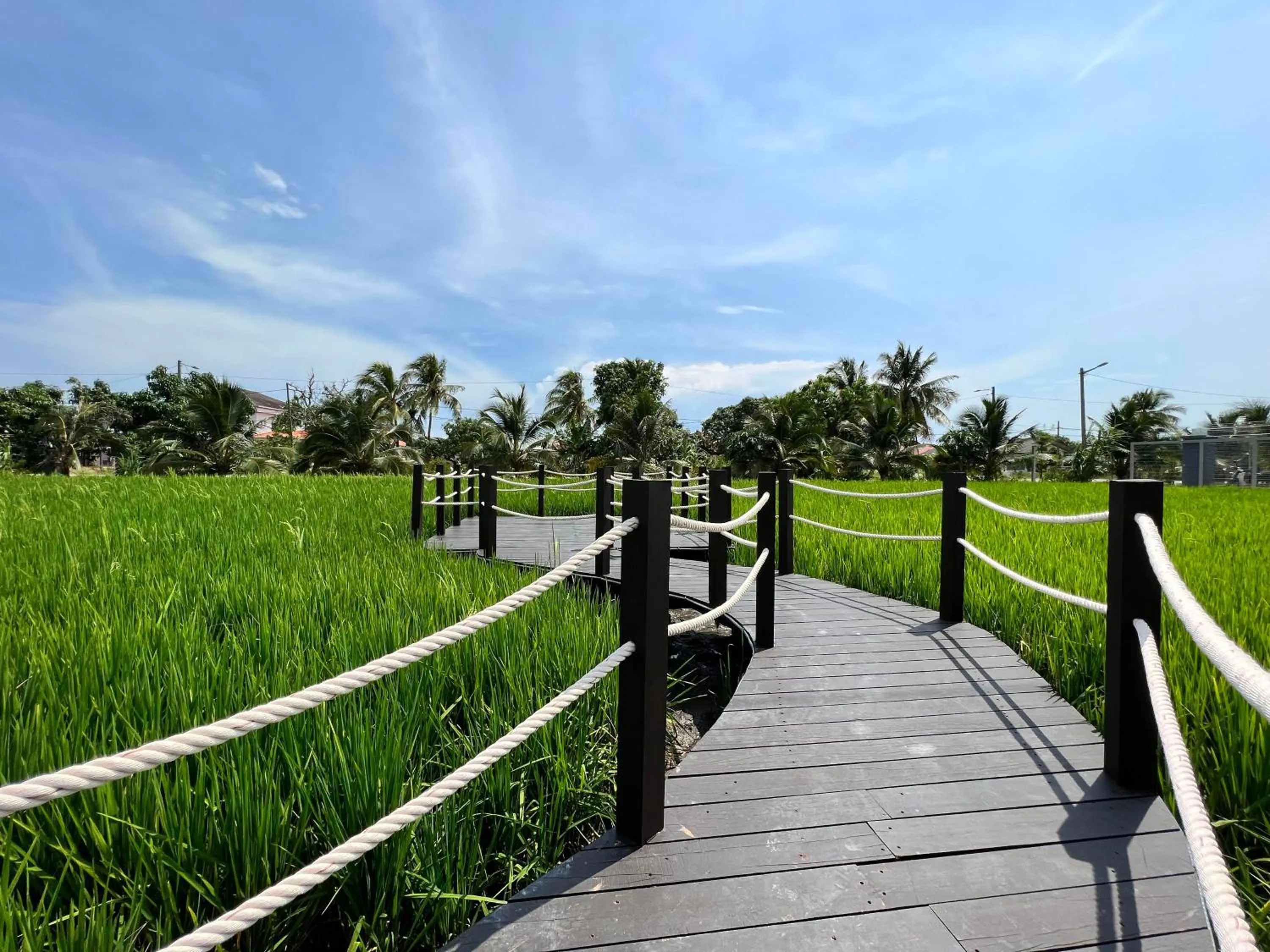 Garden in Villa Chee
