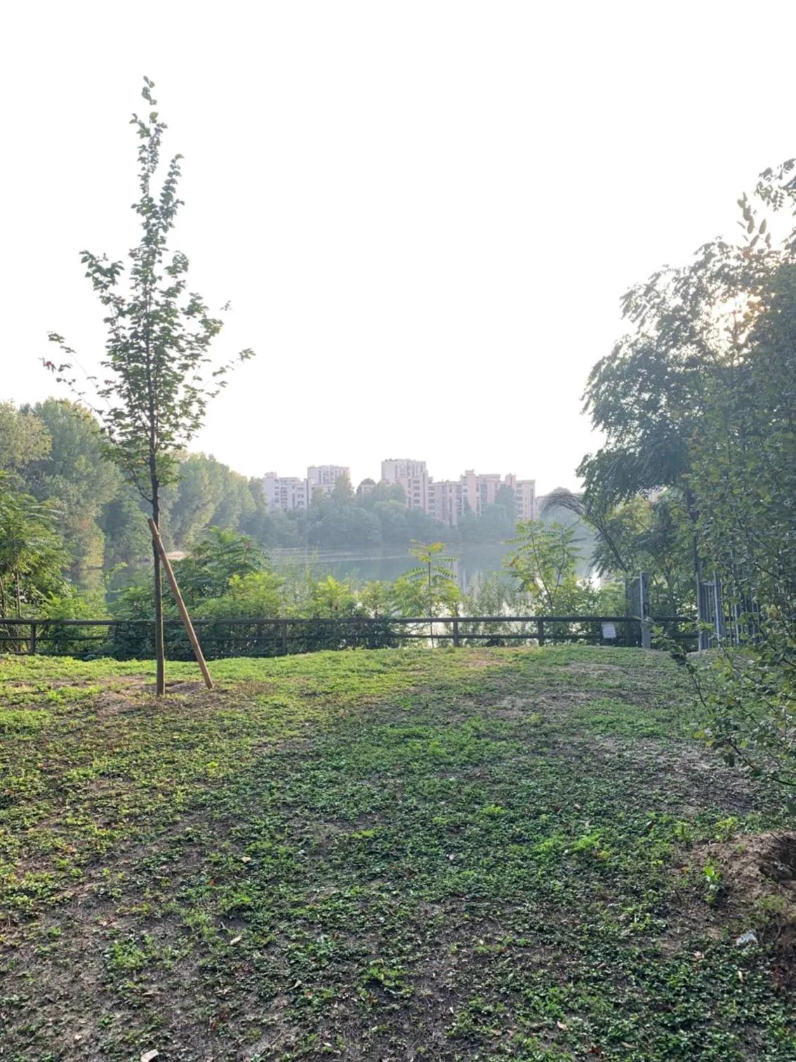 Natural landscape in San Donato Policlinico Rooms