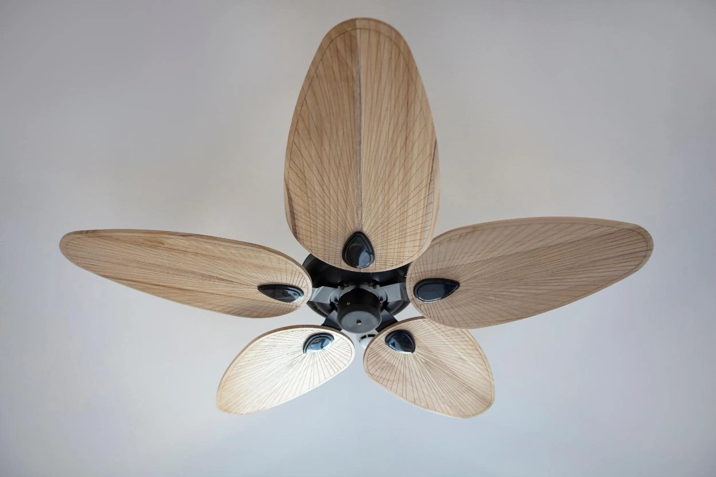 Living room in Ada Dreams City