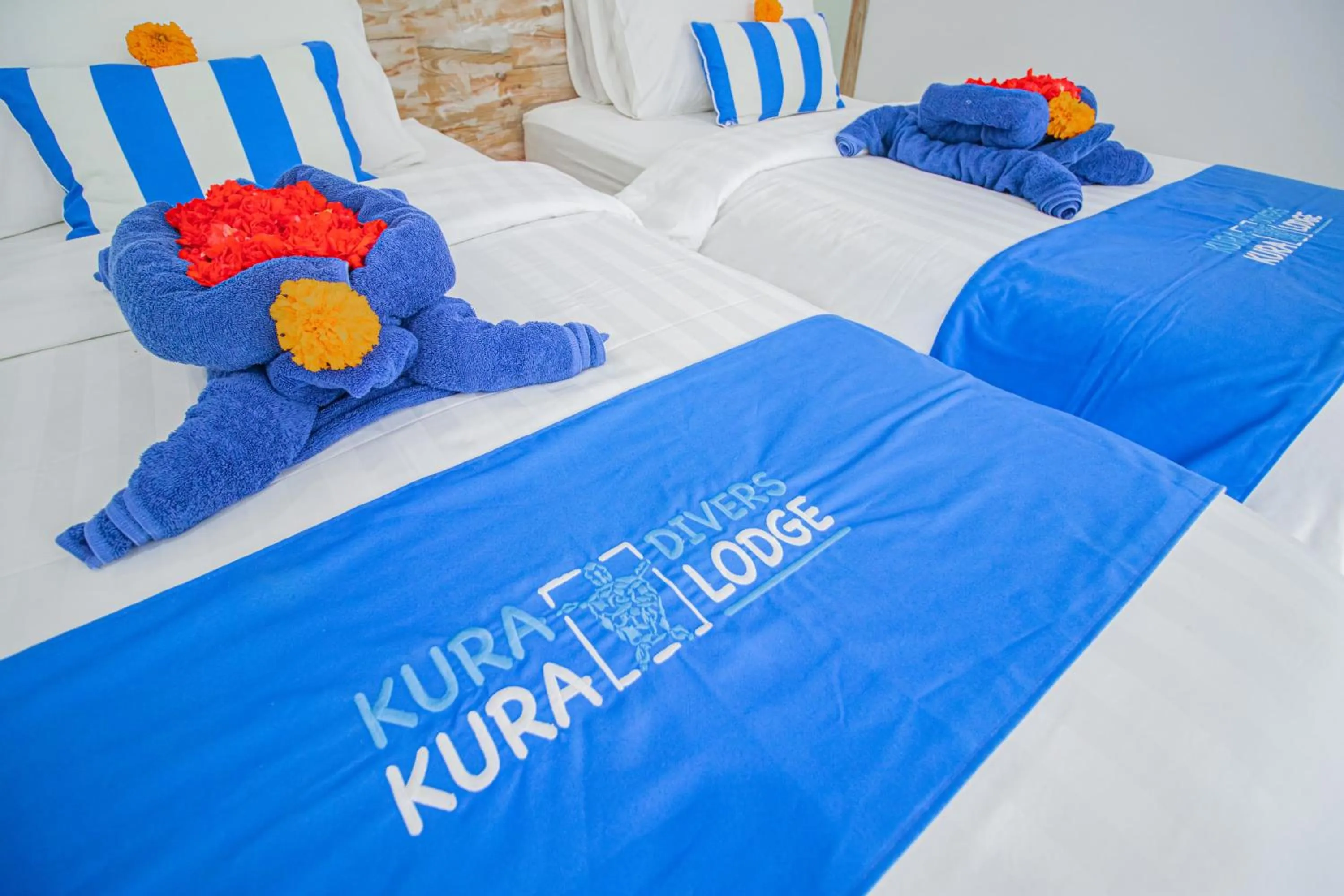 Bed in Kura Kura Divers Lodge