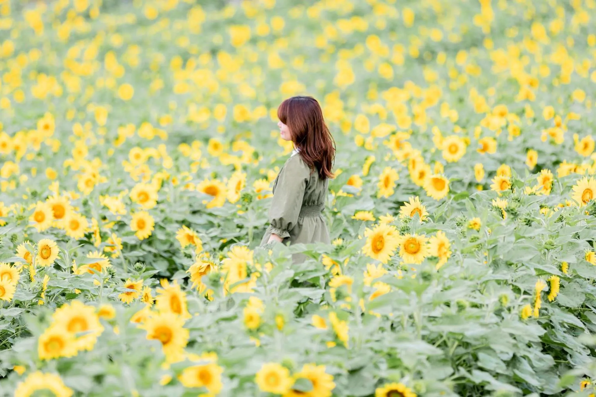 Nearby landmark in Tabist Sakipo Minamichita