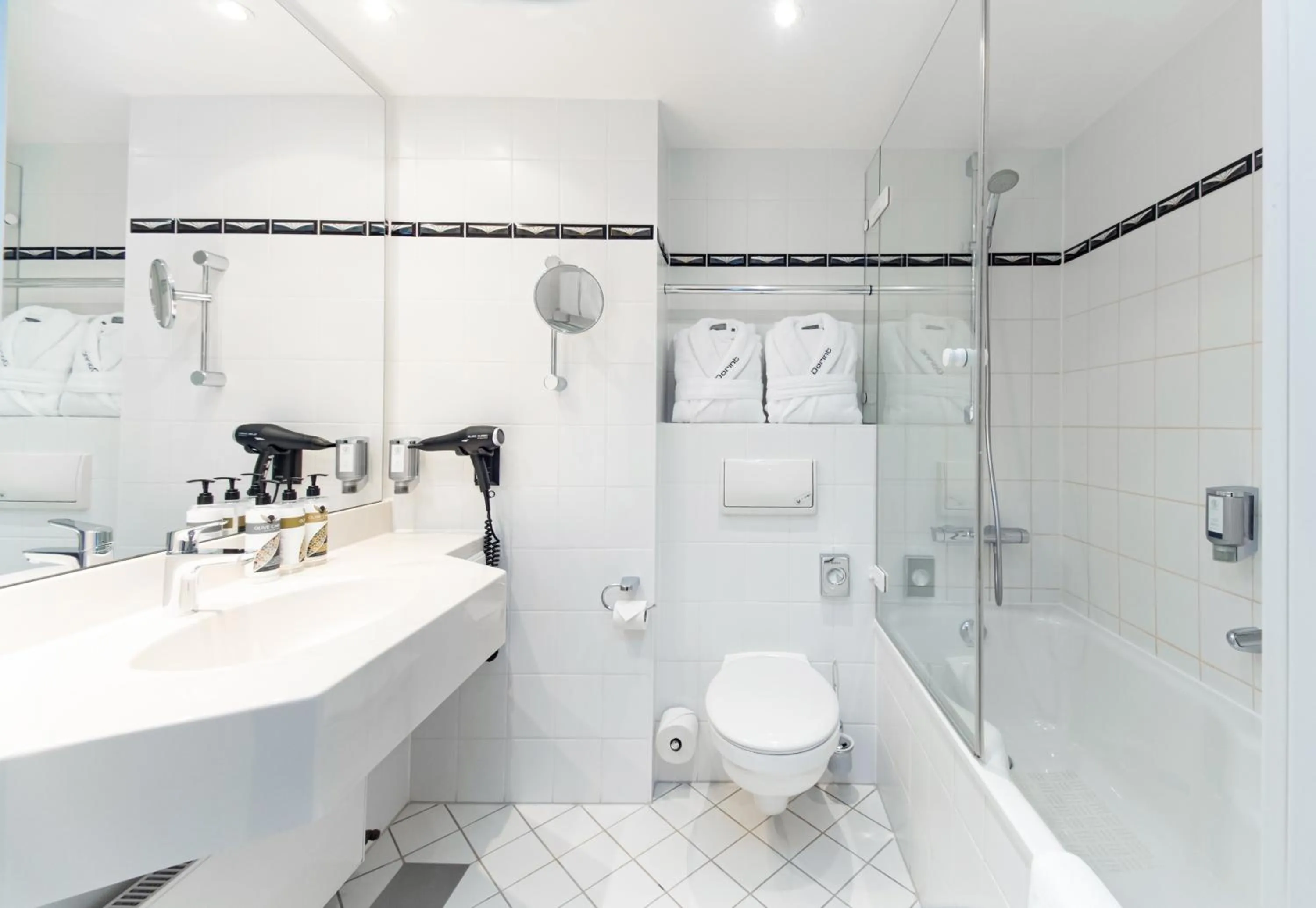 Toilet in Dorint Charlottenhof Halle (Saale)