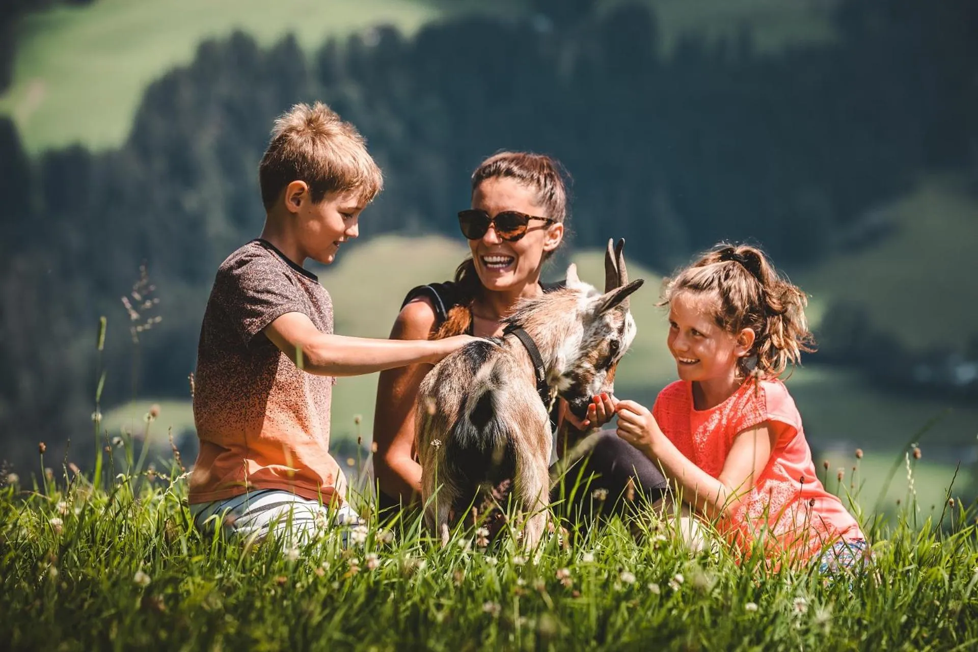 Area and facilities in Mountainview Apartments