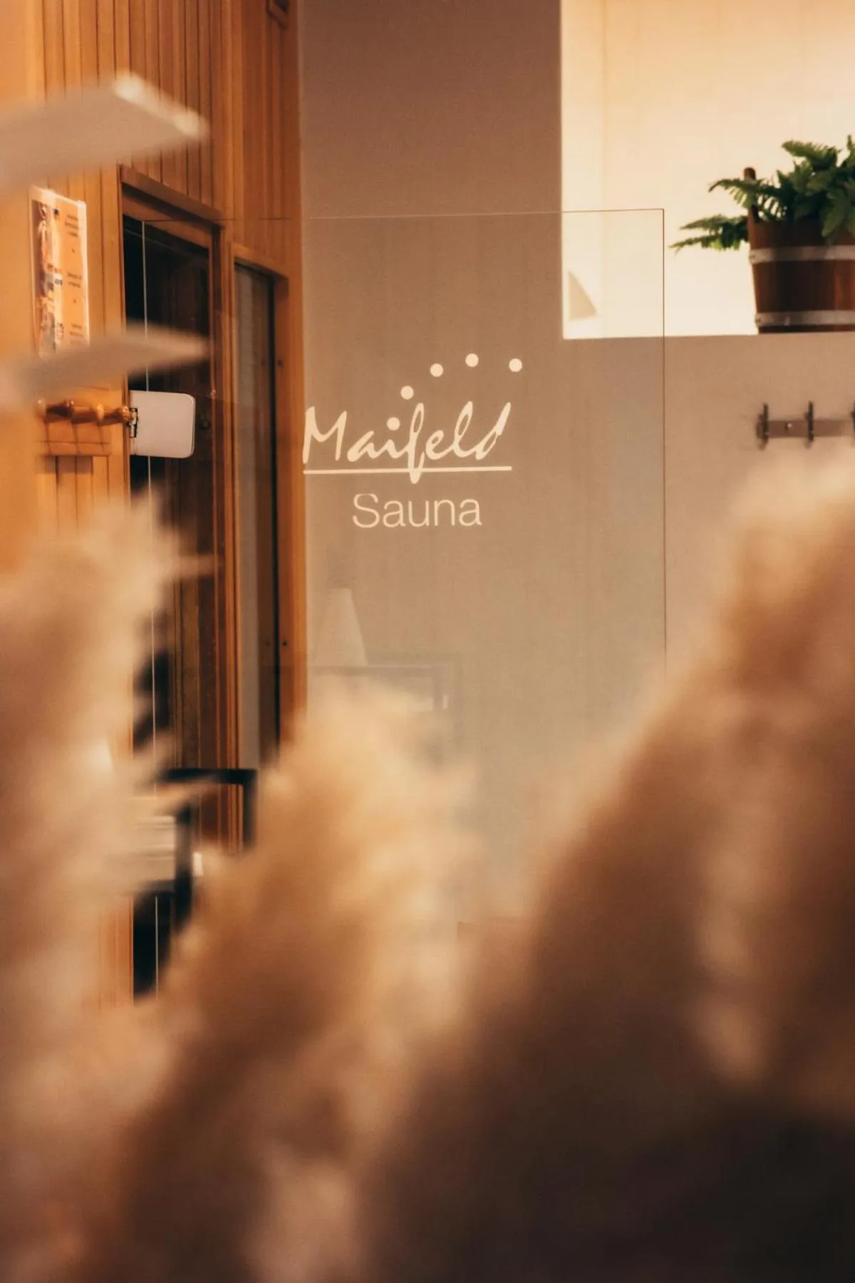 Sauna in Maifeld Sport- und Tagungshotel